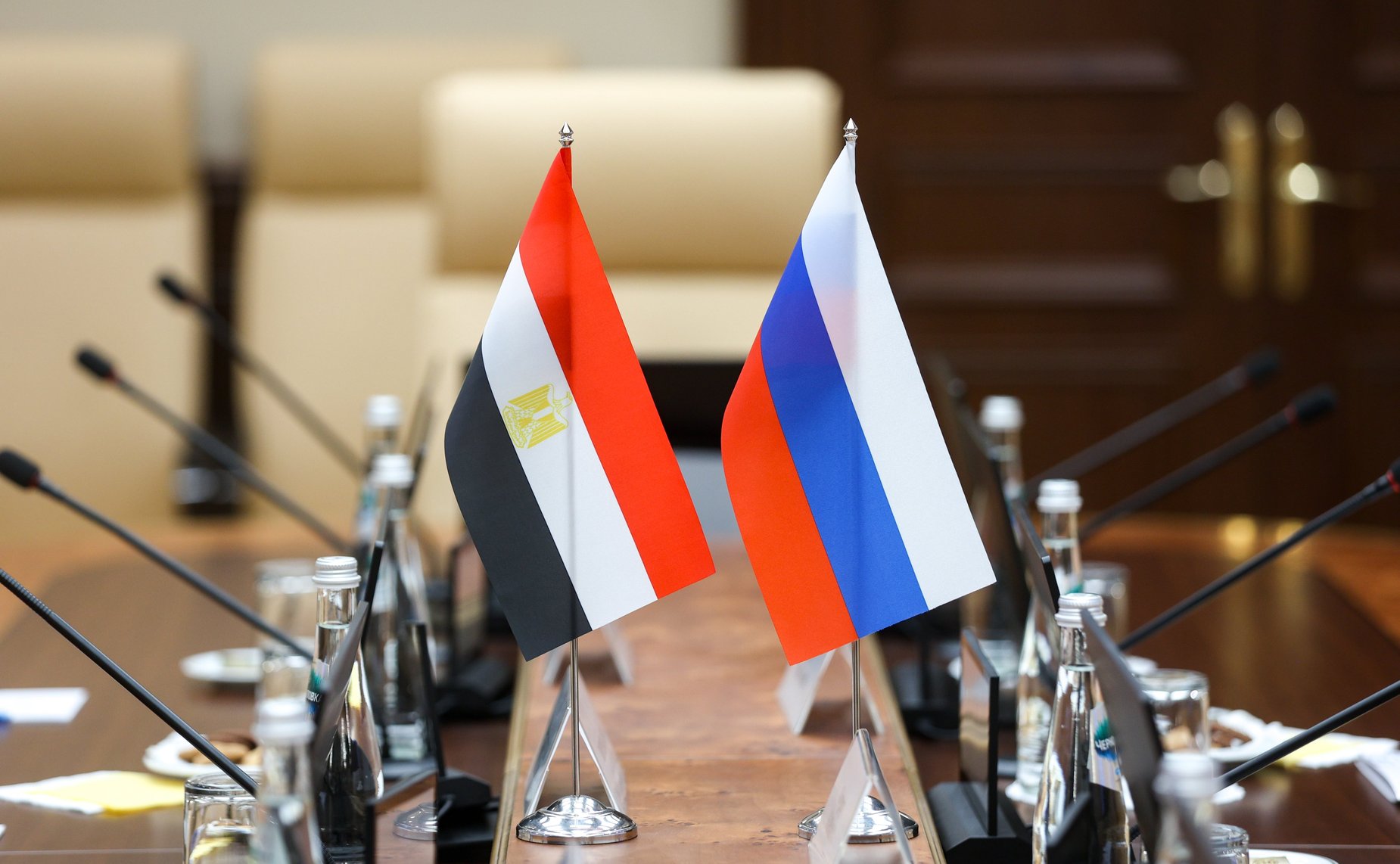 Встреча Григория Карасина с Чрезвычайным и Полномочным Послом Арабской Республики Египет в Российской Федерации