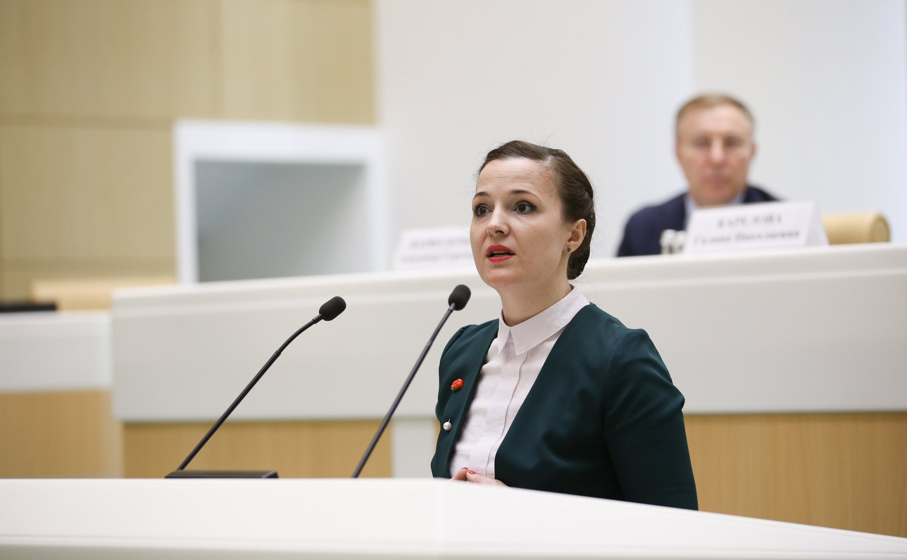 Заседание Палаты молодых законодателей при Совете Федерации