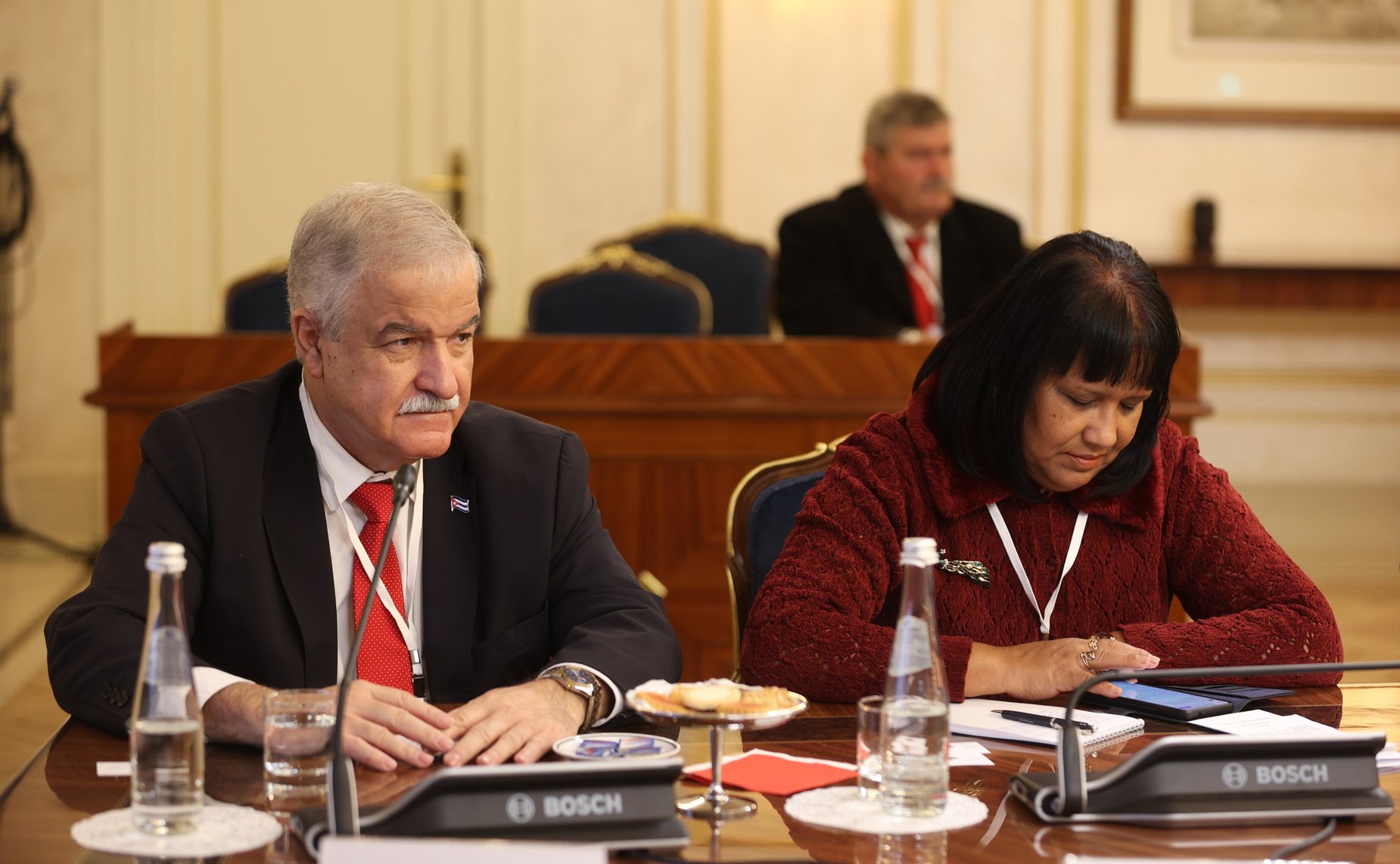 Встреча Председателя Совета Федерации Валентины Матвиенко с Президентом Республики Куба Мигелем Диас-Канелем Бермудесом