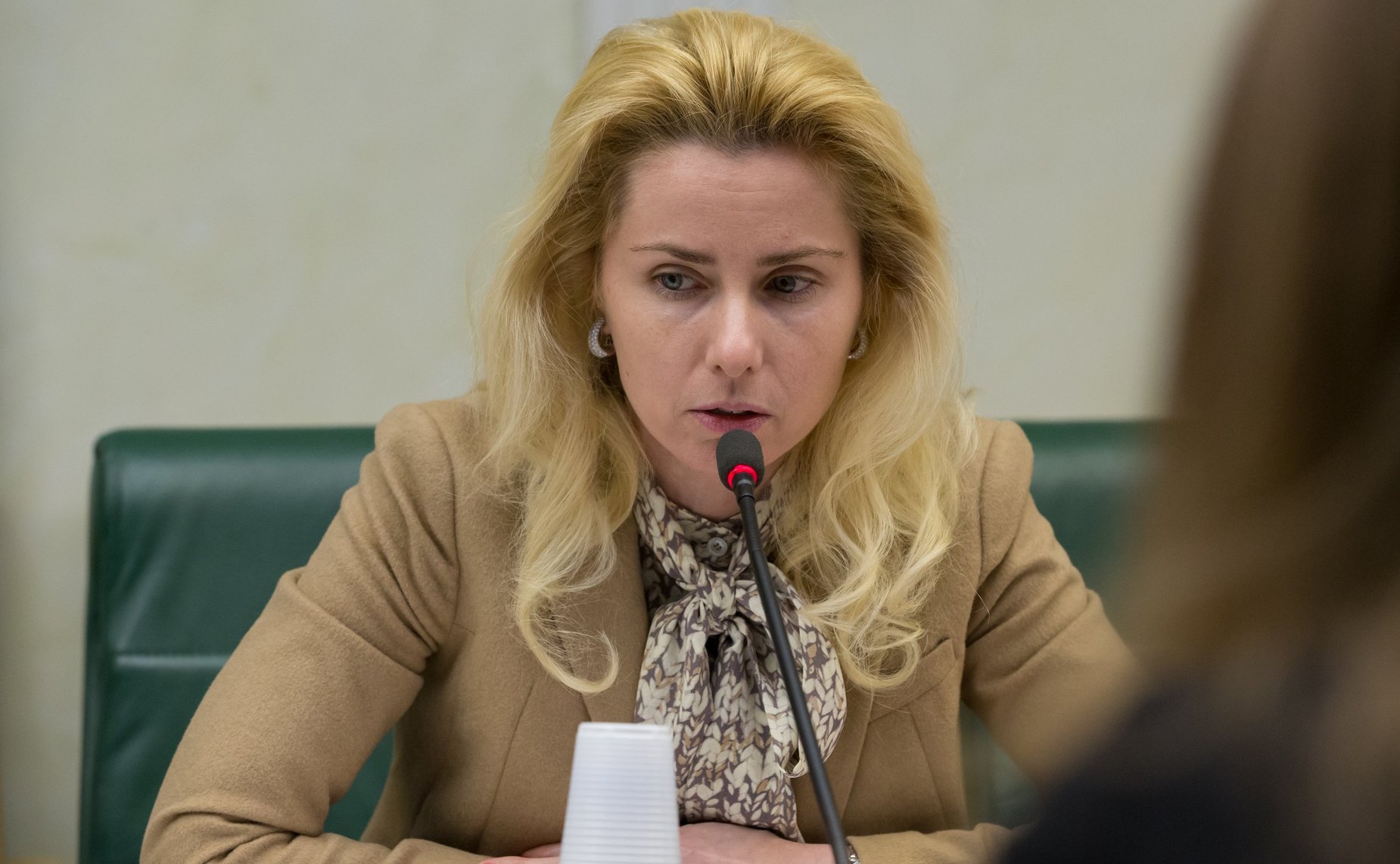 Заседание рабочей группы Комитета СФ по науке, образованию и культуре