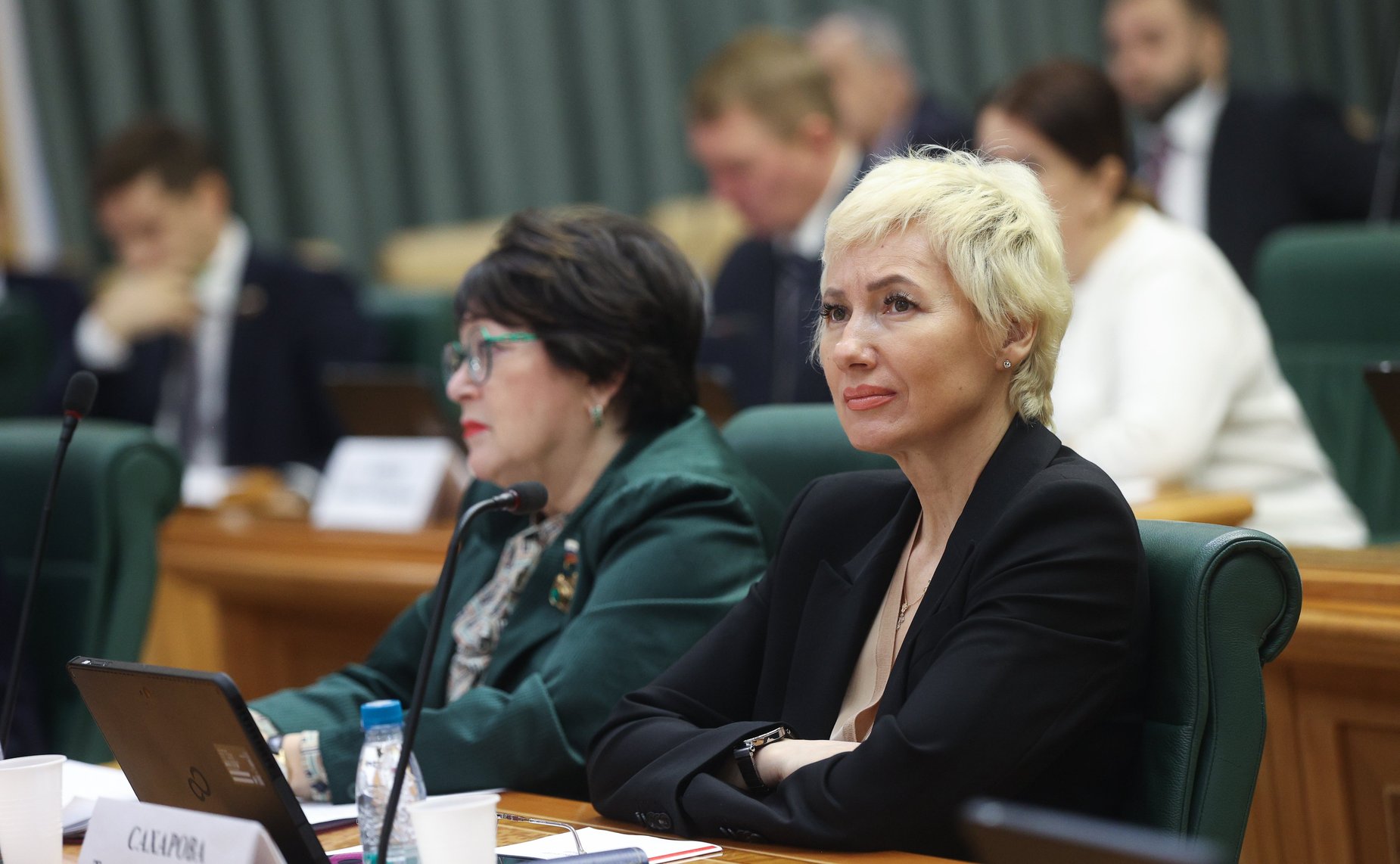 Заседание Совета по вопросам развития лесного комплекса Российской Федерации