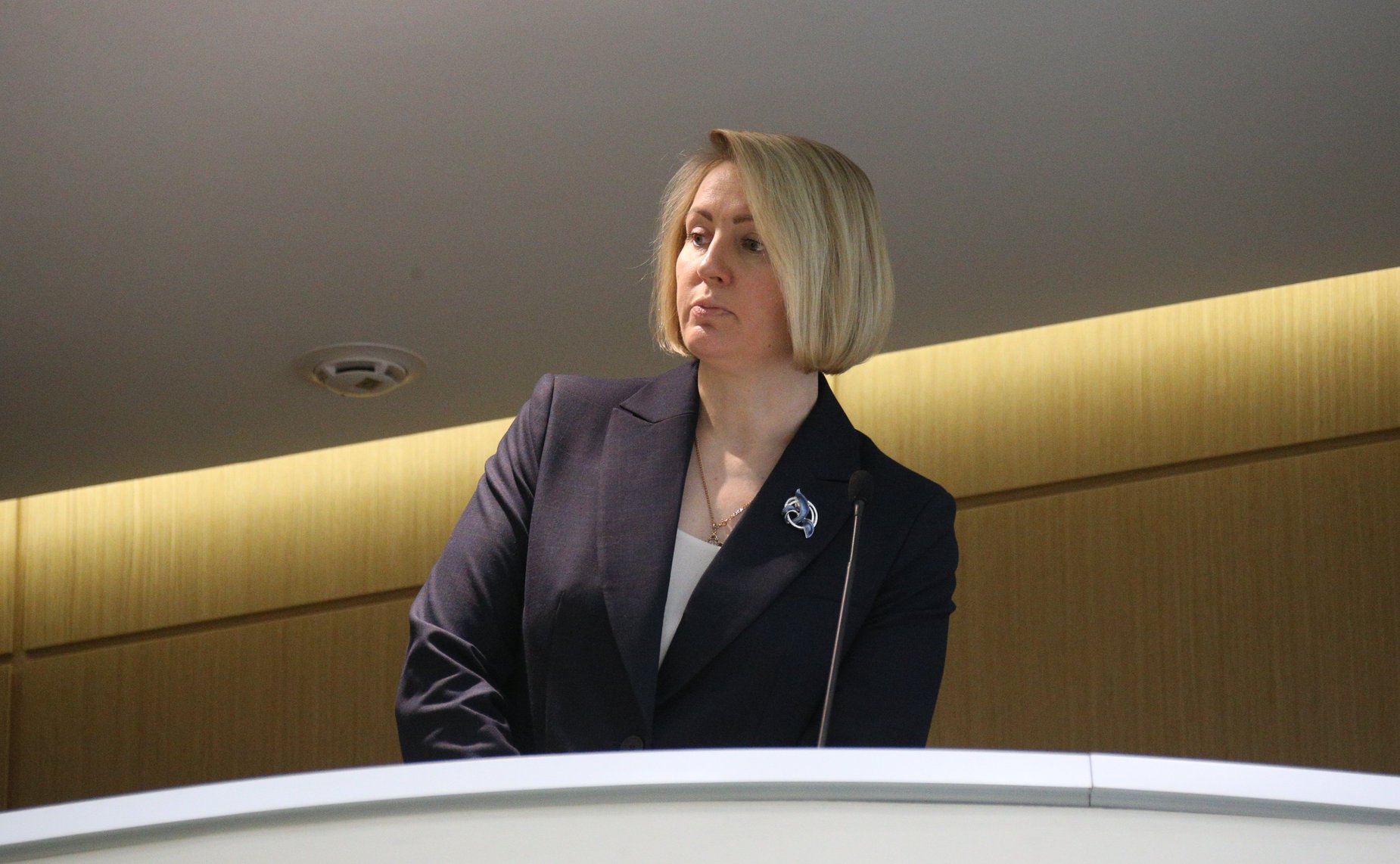 515-е заседание Совета Федерации