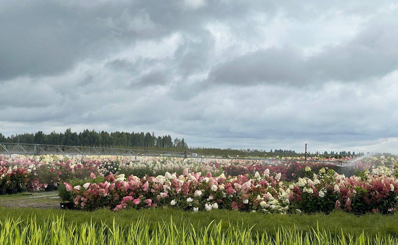 Анатолий Артамонов в селе Пеневичи Хвастовичского района Калужской области принял участие в торжественном открытии нового современного животноводческого комплекса