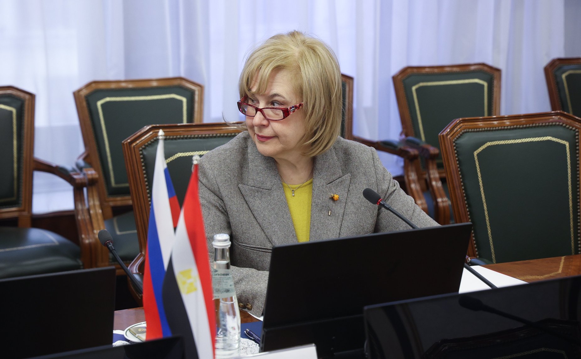 Встреча заместителя Председателя Совета Федерации Инны Святенко с Чрезвычайным и Полномочным Послом Арабской Республики Египет в Российской Федерации Хамди Шаабаном