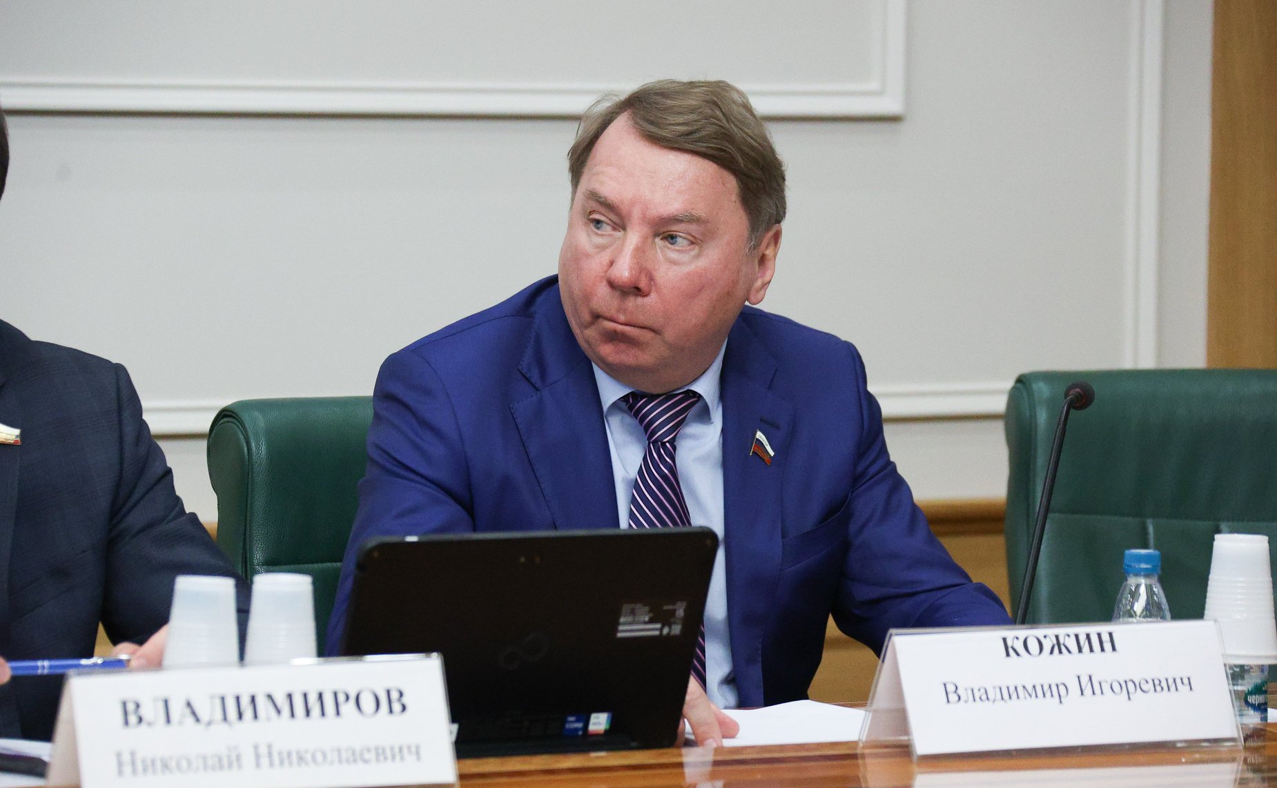 Владимир Кожин