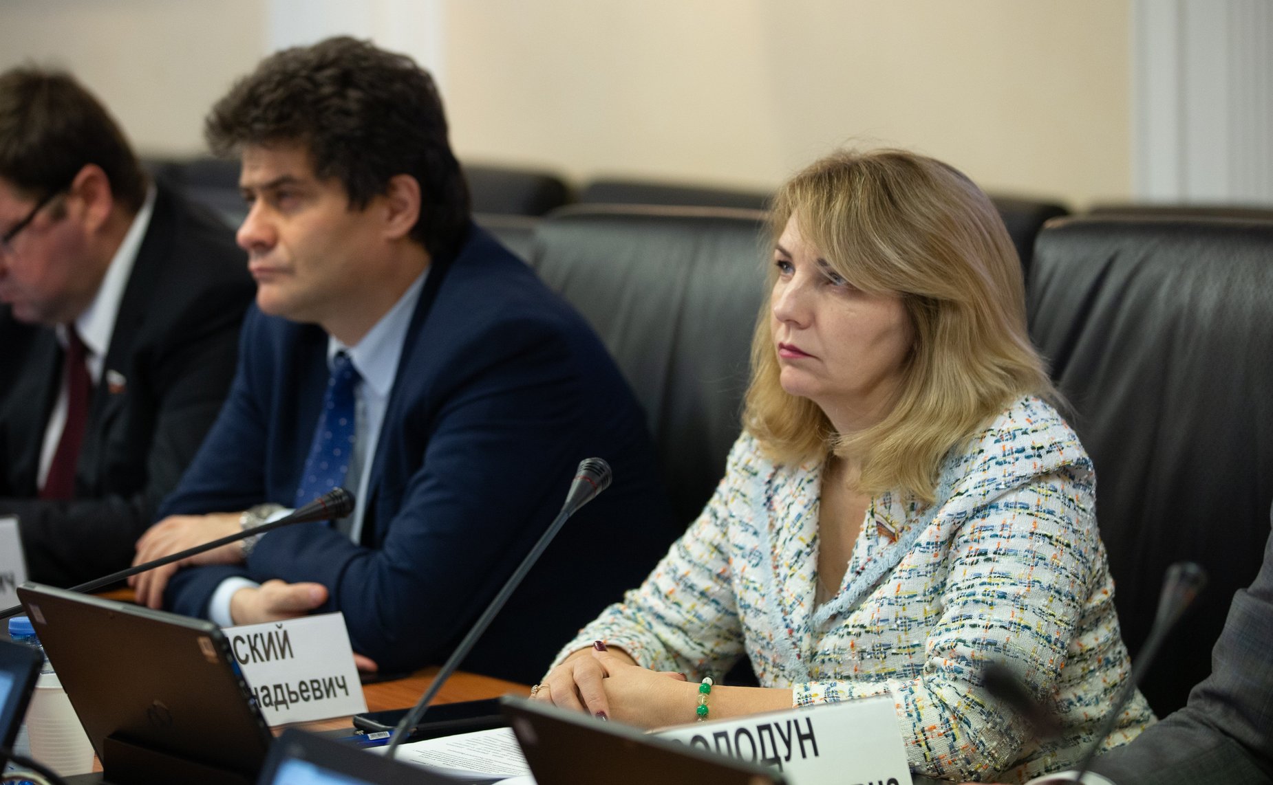 Расширенное заседание Комитета СФ по федеративному устройству, региональной политике, местному самоуправлению и делам Севера