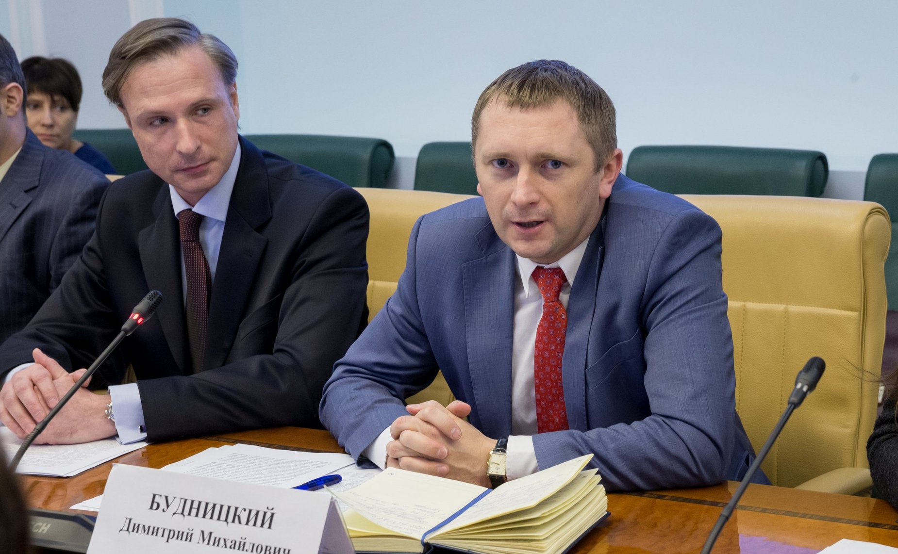 Д. Будницкий