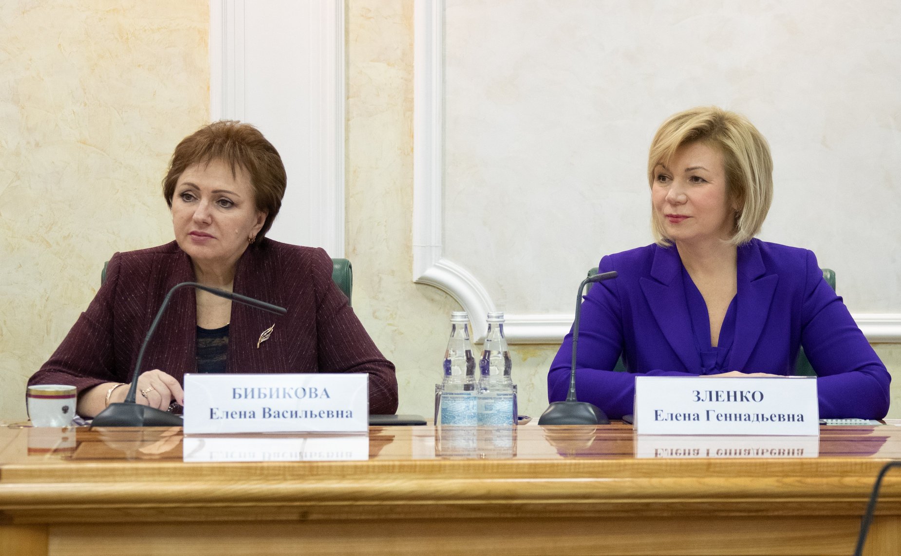 Елена Бибикова и Елена Зленко