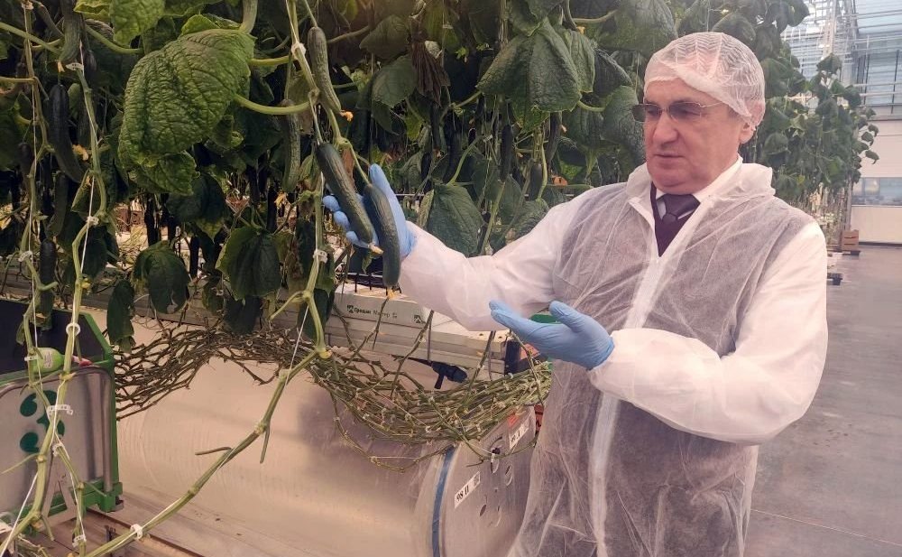 Николай Федоров посетил тепличный комплекс «Новочебоксарский»