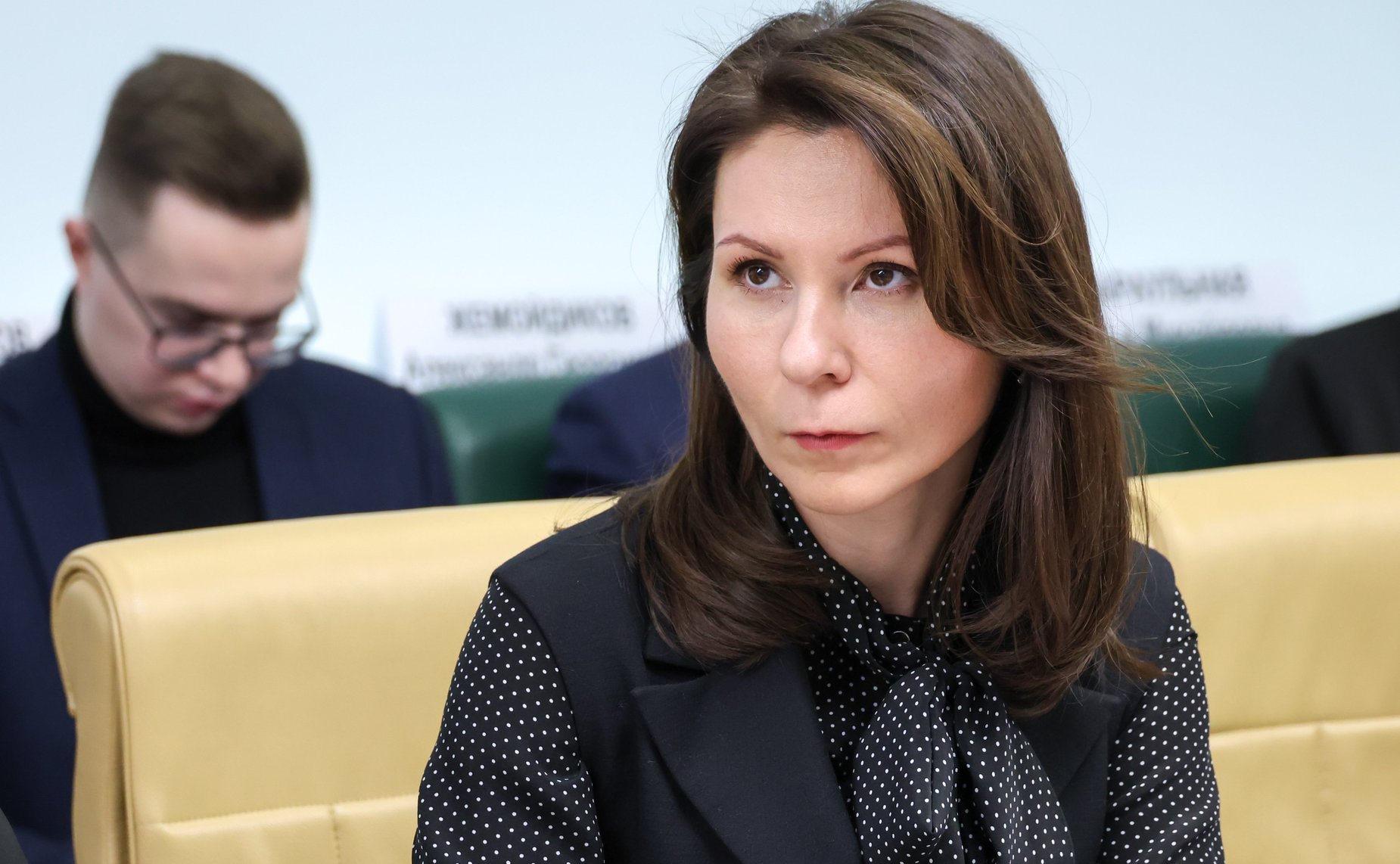 Круглый стол на тему «Актуальные вопросы реализации Плана мероприятий («дорожной карты») по развитию лифтовой отрасли в Российской Федерации»