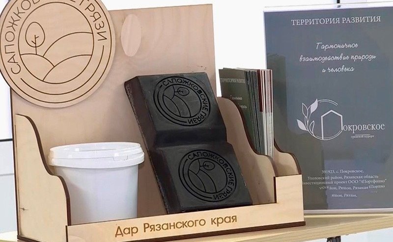 Игорь Мурог встретился с генеральным директором компании «Дом грязелечения» Юрием Панюковым для обсуждения развития бизнес-проектов, связанных с применением Сапожковского лечебного торфа