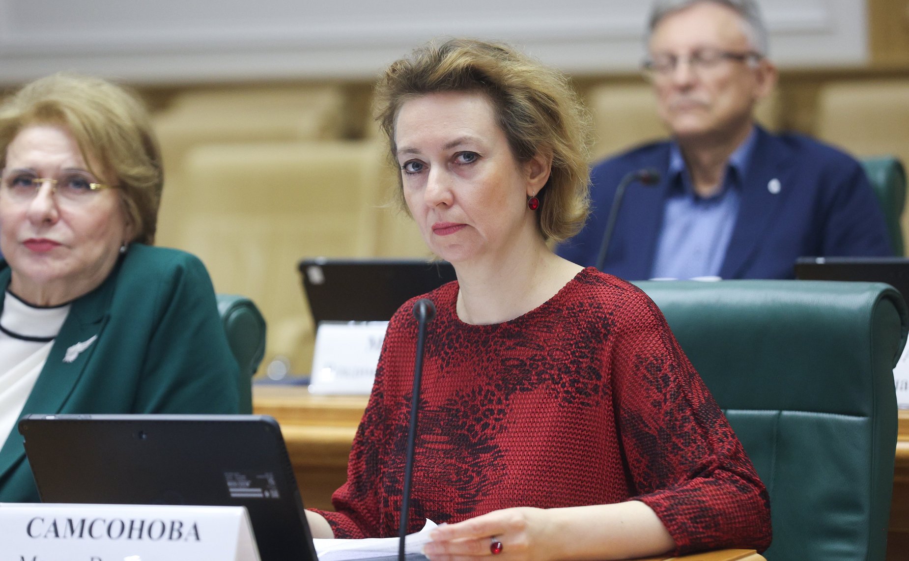 Заседание экспертно-консультативного совета при Комитете Совета Федерации по конституционному законодательству и государственному строительству