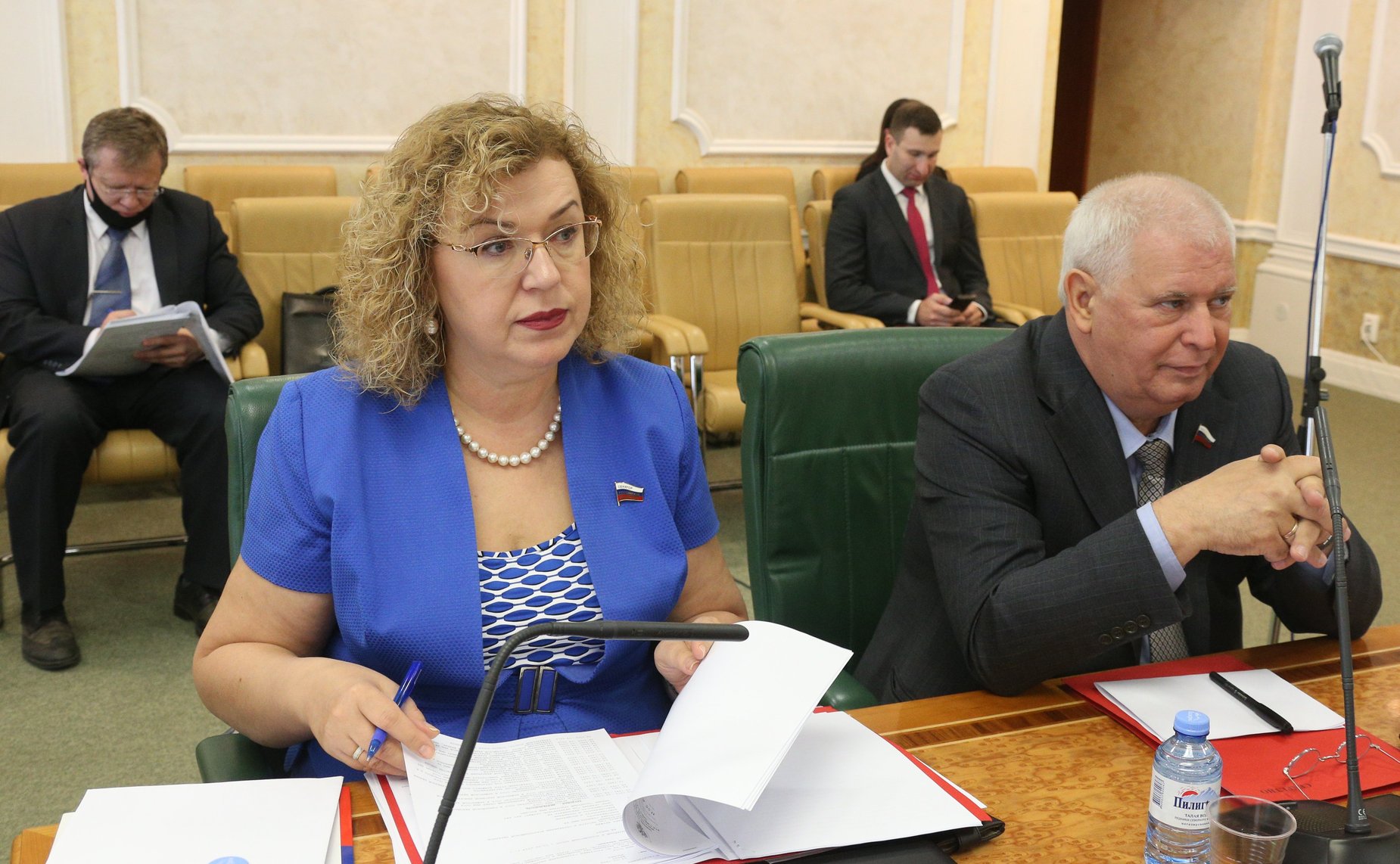 Заседание Комитета СФ по международным делам