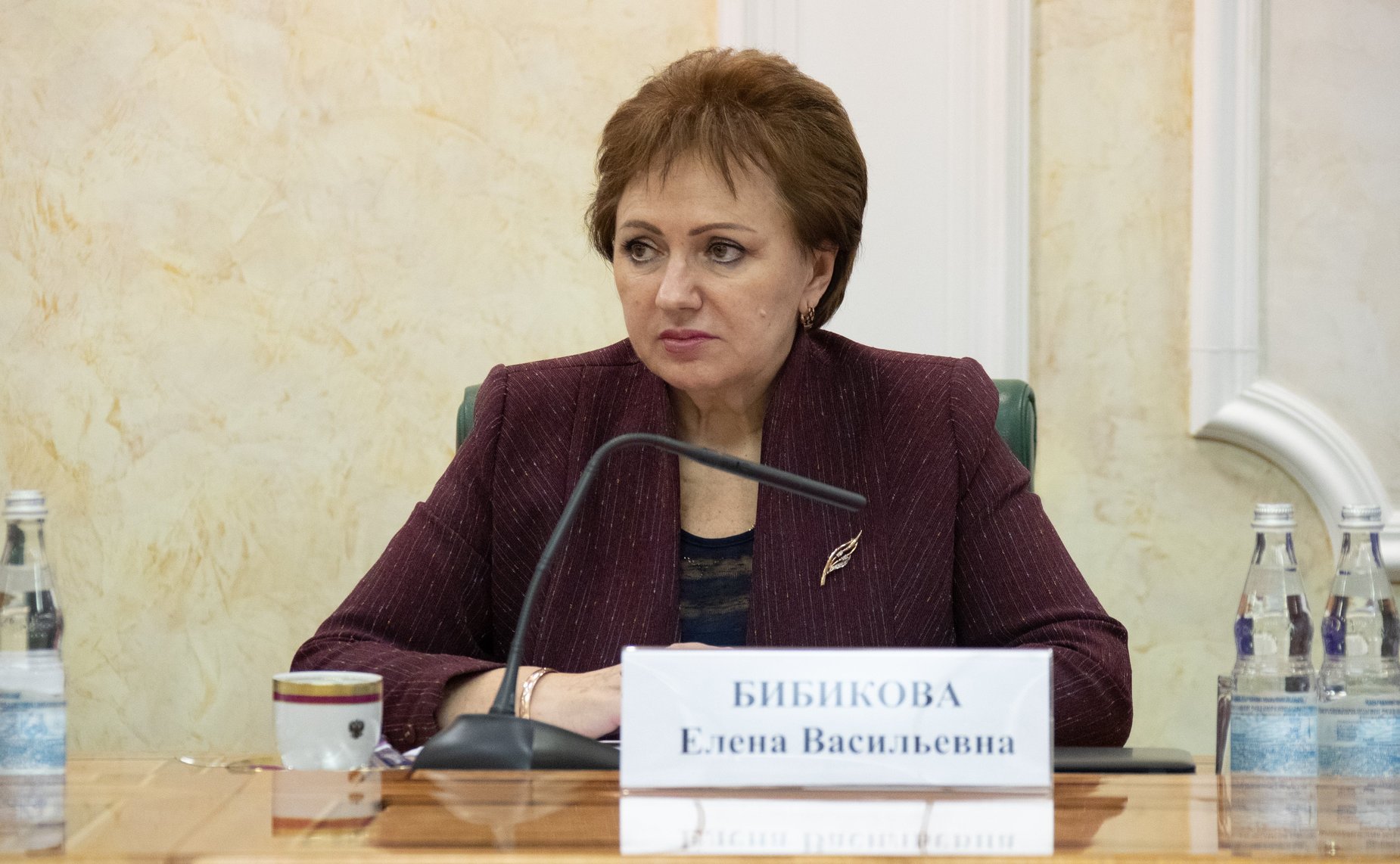 Елена Бибикова