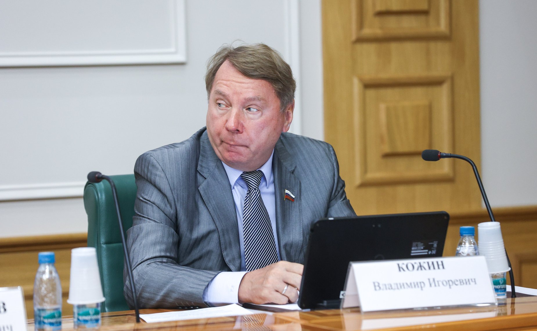 Владимир Кожин
