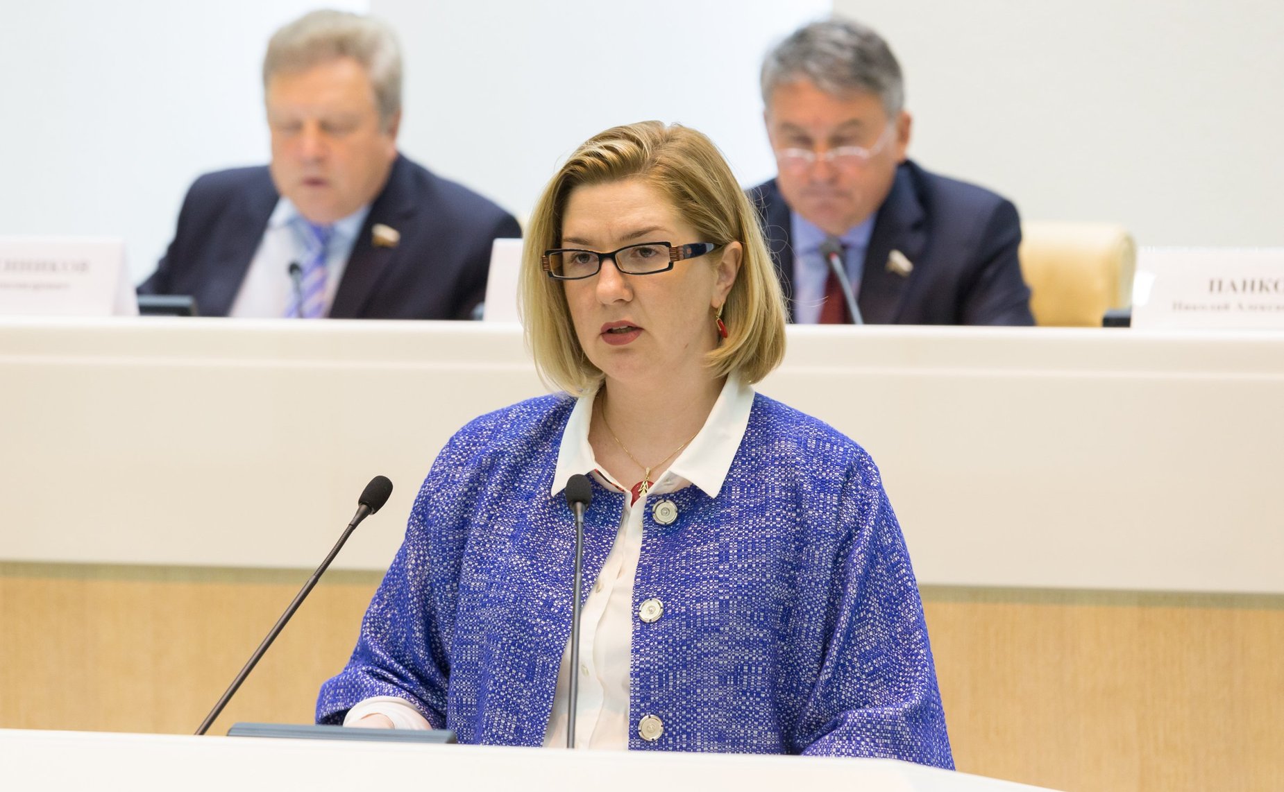 Выступление на заседании Совета