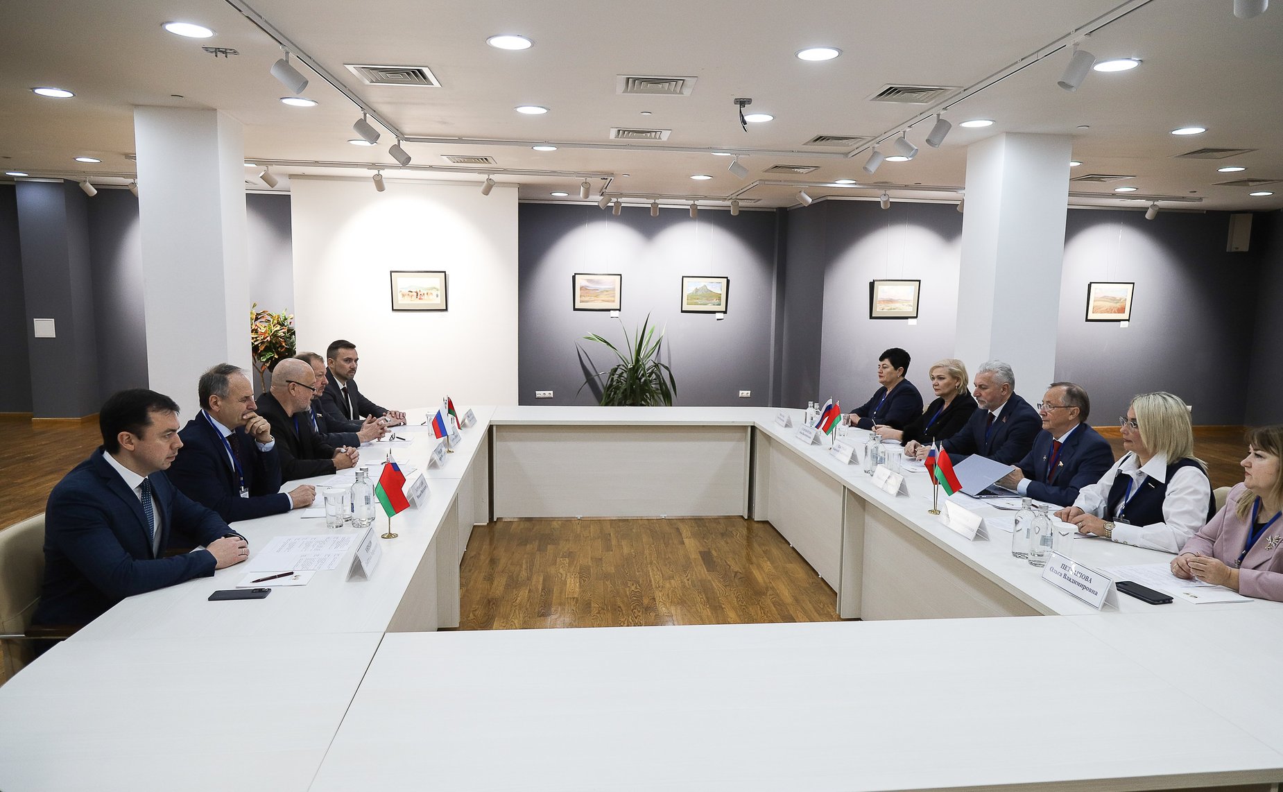 Наталия Косихина приняла участие в работе 72-го заседания постоянно действующего семинара Парламентского Собрания Союза Беларуси и России