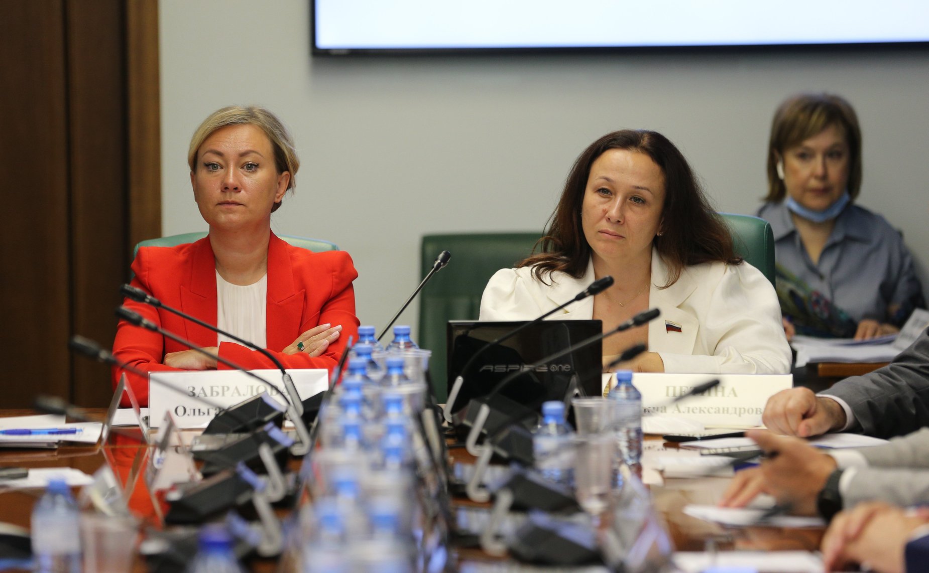 Расширенное заседание Комитета СФ по социальной политике