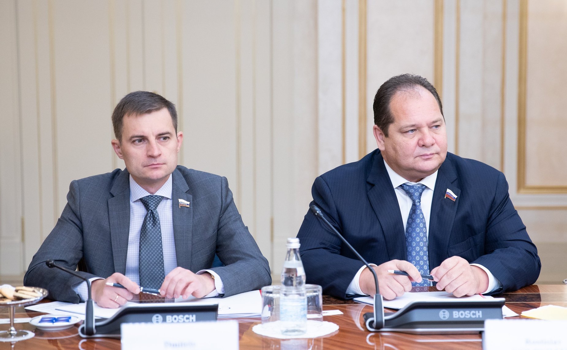 Дмитрий Шатохин и Ростислав Гольдштейн