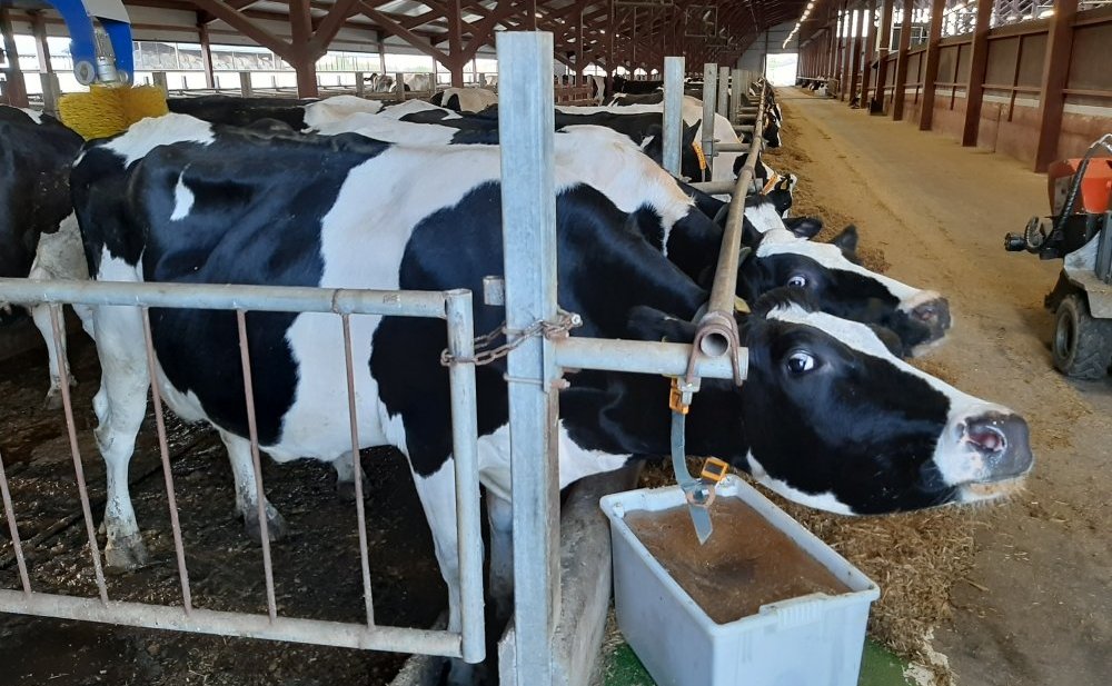 Сергей Мартынов встретился с председателем колхоза «Первое мая» в Марий Эл