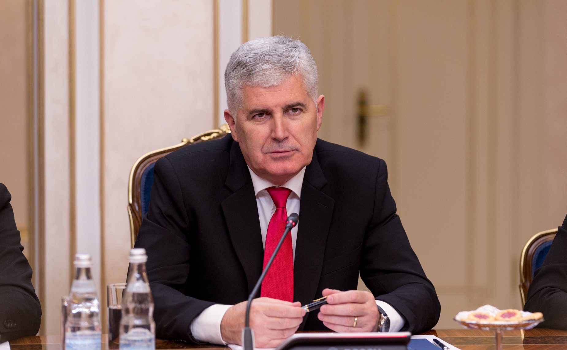 Встреча Валентины Матвиенко с Председательствующим Палаты народов Парламентской ассамблеи Боснии и Герцеговины Драганом Човичем