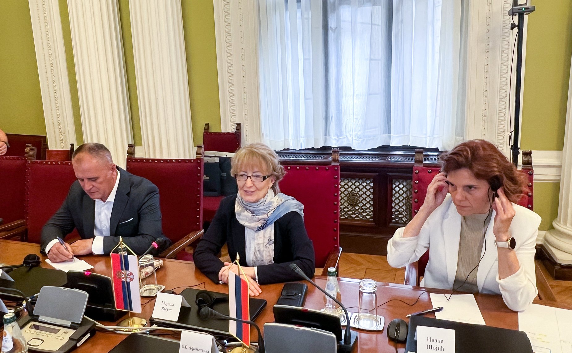 Встреча сенаторов с заместителем Председателя Народной скупщины Республики Сербии, председателем Комитета Народной скупщины Республики Сербии по внешней политике Мариной Рагуш