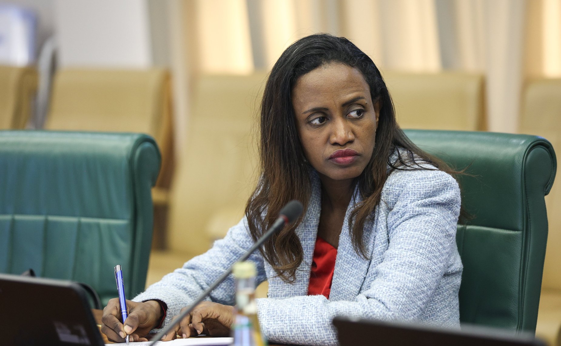 Встреча председателя Комитета СФ по международным делам Григория Карасина с Чрезвычайным и Полномочным Послом Федеральной Демократической Республики Эфиопии