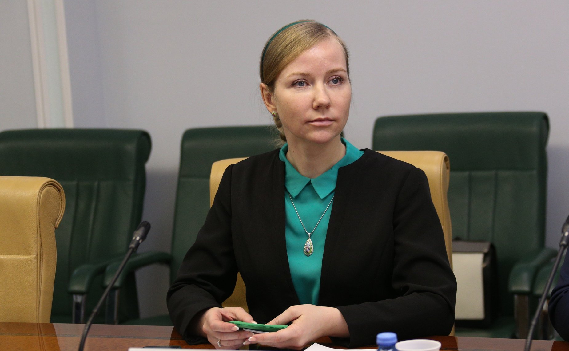 Совещание на тему «О разработке мер по реализации в Российской Федерации «зеленых» проектов, оказывающих минимальное воздействие на окружающую среду»