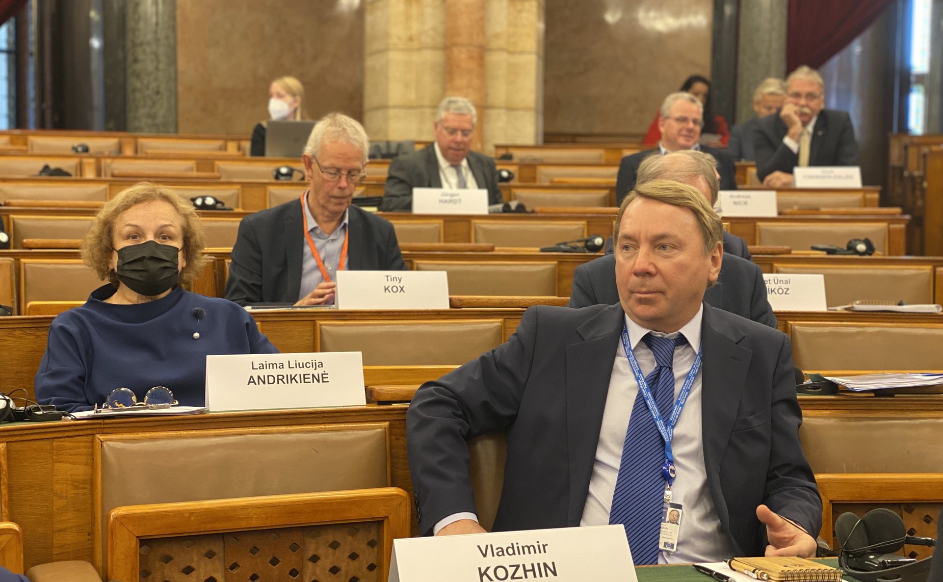 Владимир Кожин