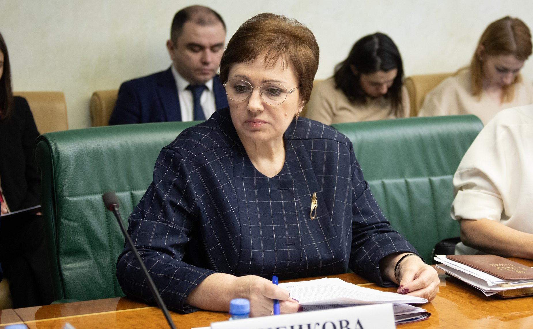 Елена Бибикова