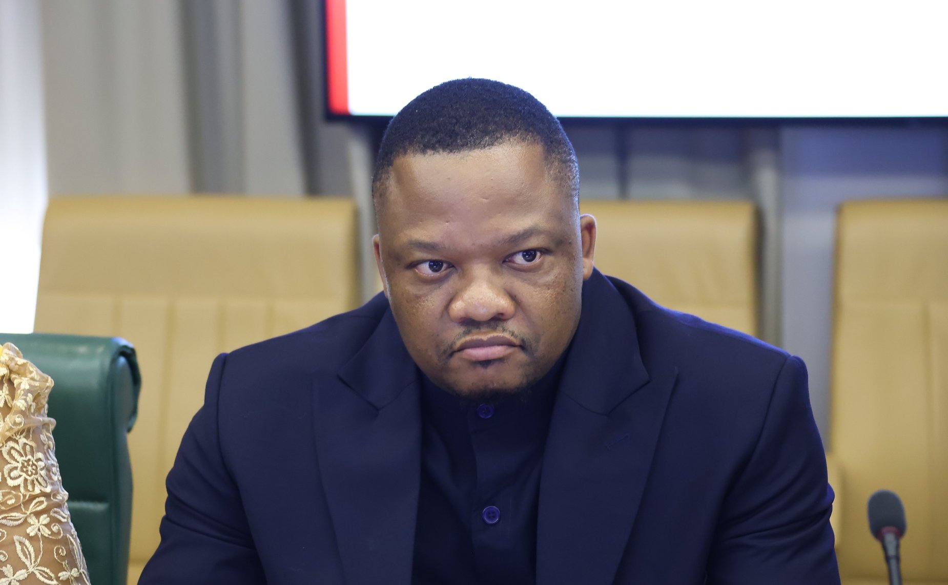 Александр Варфоломеев провел встречу с делегацией Законодательного Собрания Северо-Западной провинции Южно-Африканской Республики при участии Палаты молодых законодателей при Совете Федерации