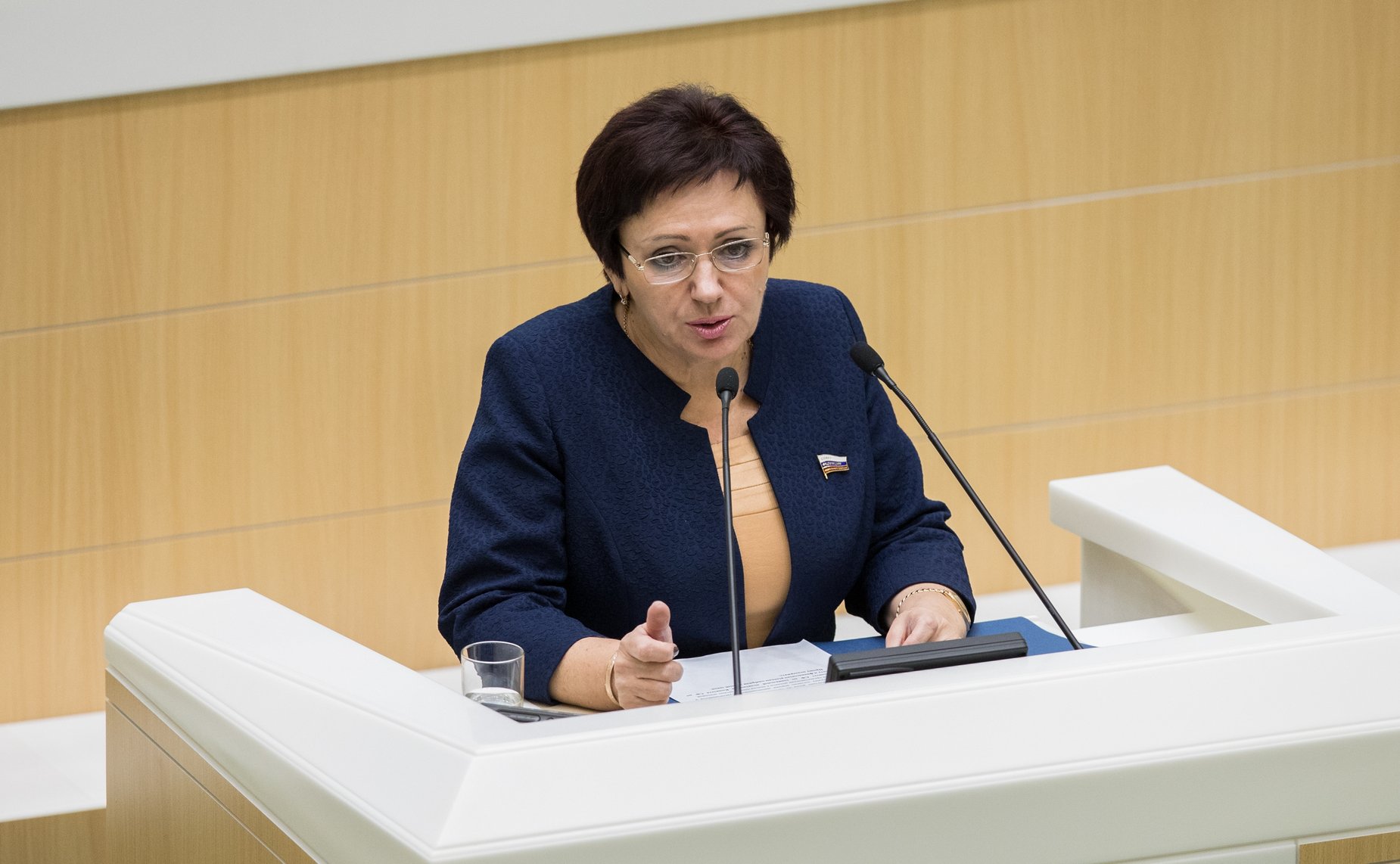 Е. Бибикова