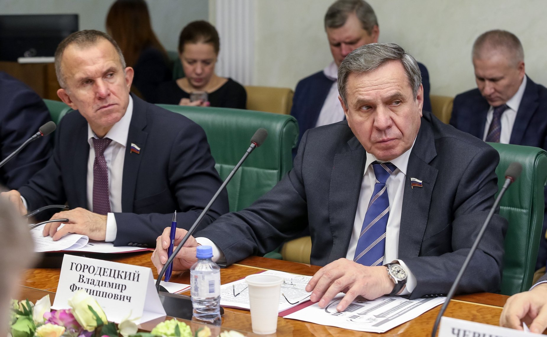 Владимир Городецкий