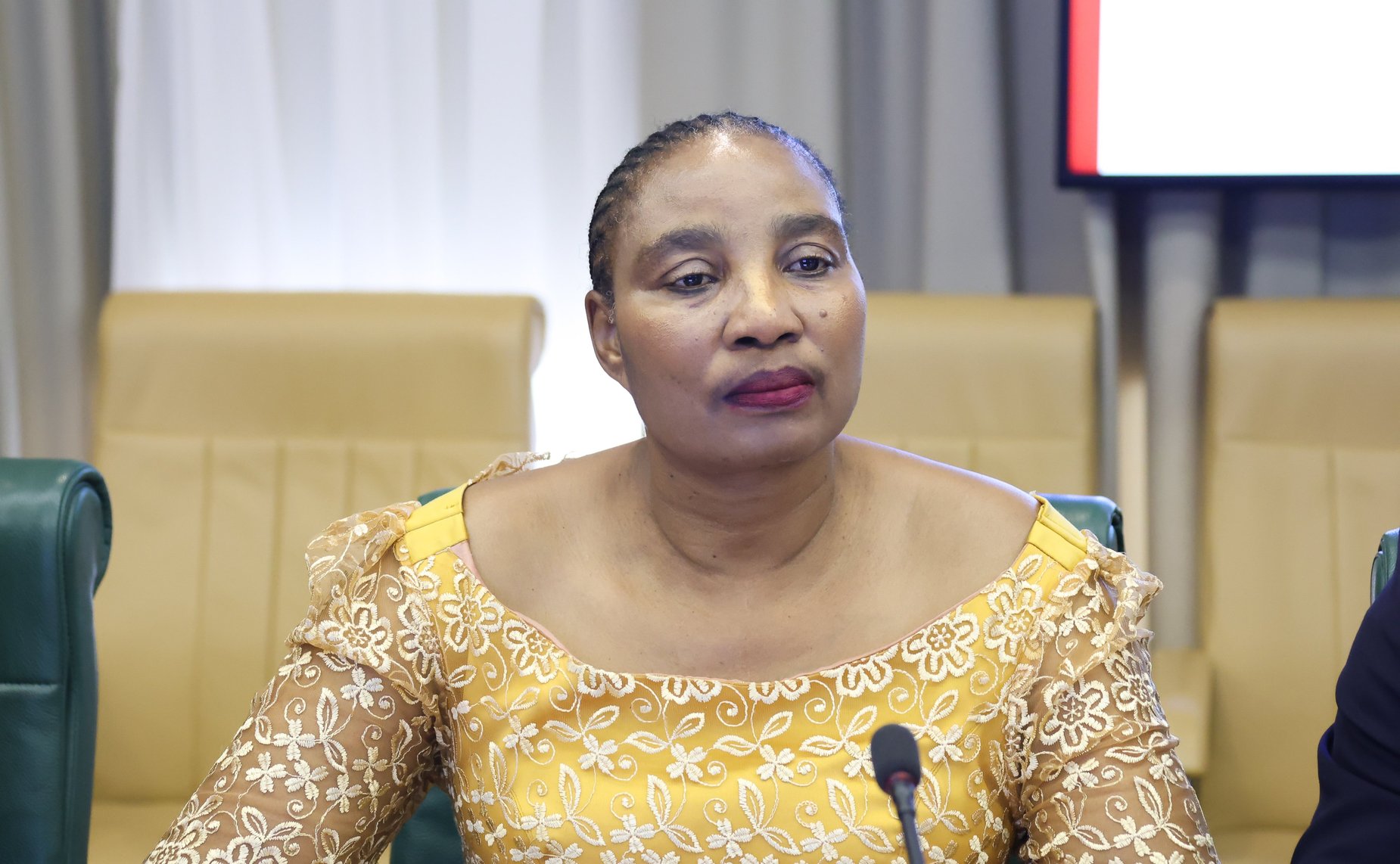 Александр Варфоломеев провел встречу с делегацией Законодательного Собрания Северо-Западной провинции Южно-Африканской Республики при участии Палаты молодых законодателей при Совете Федерации