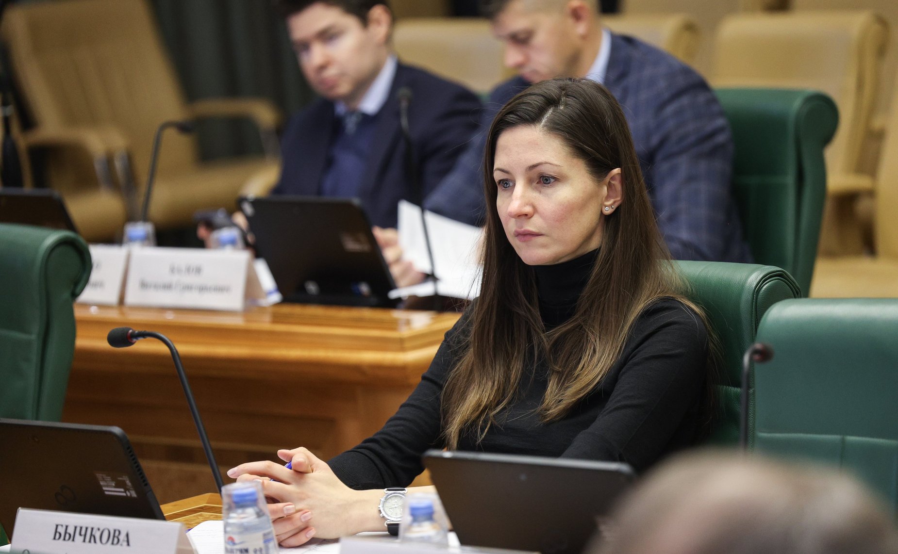 Заседание Экспертного совета по социальному развитию при Комитета Совета Федерации по социальной политике на тему «О проведении Года семьи в Российской Федерации»
