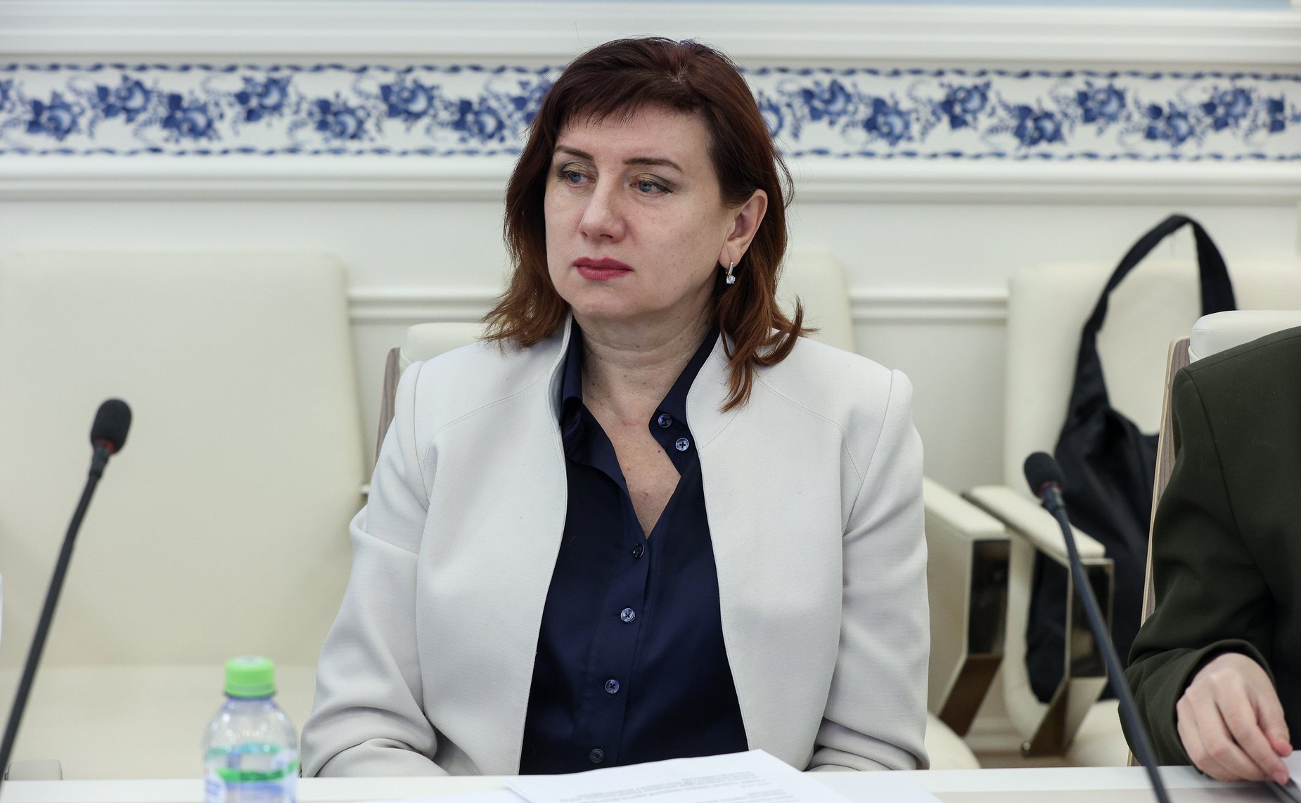 Рабочее совещание Комитета СФ по социальной политике «Цифровизация туризма в РФ»