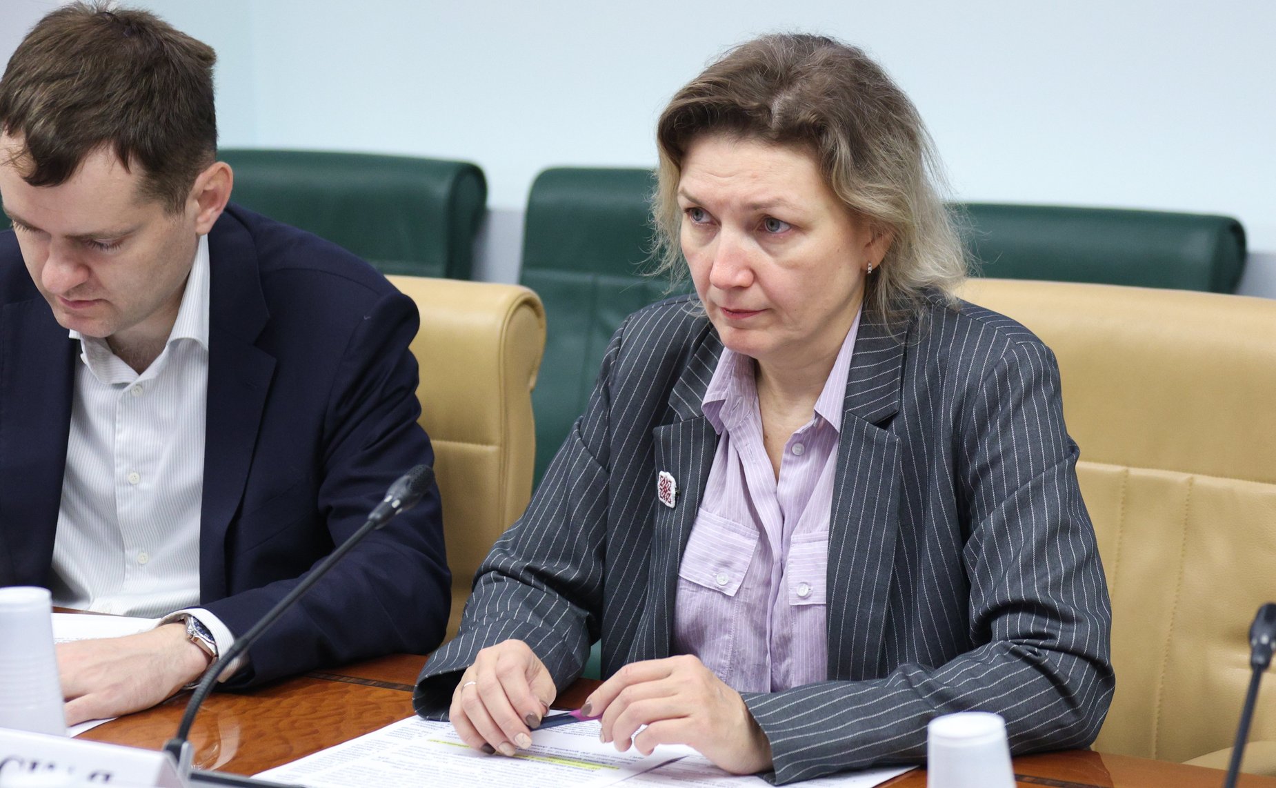 Круглый стол Комитета Совета Федерации по экономической политике «Инфраструктура поддержки субъектов малого и среднего предпринимательства в условиях реализации национального проекта «Эффективная и конкурентная экономика»»