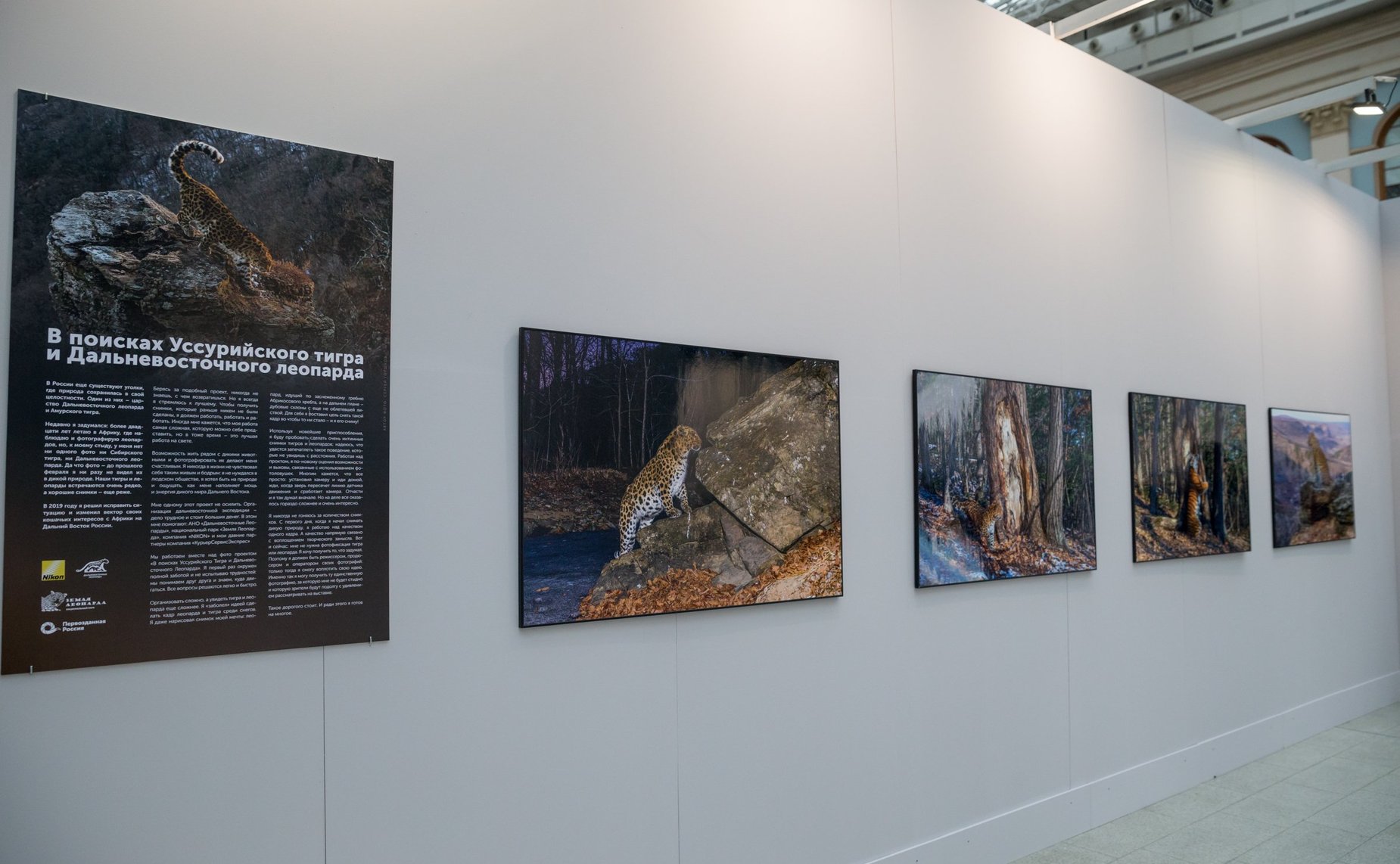 VII Общероссийский фестиваль «Первозданная Россия»