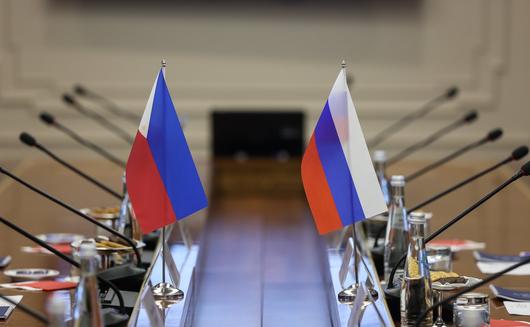 Встреча первого заместителя Председателя СФ Андрея Яцкина с Чрезвычайным и Полномочным Послом Республики Филиппины в РФ Игорем Гарлитом Байленом