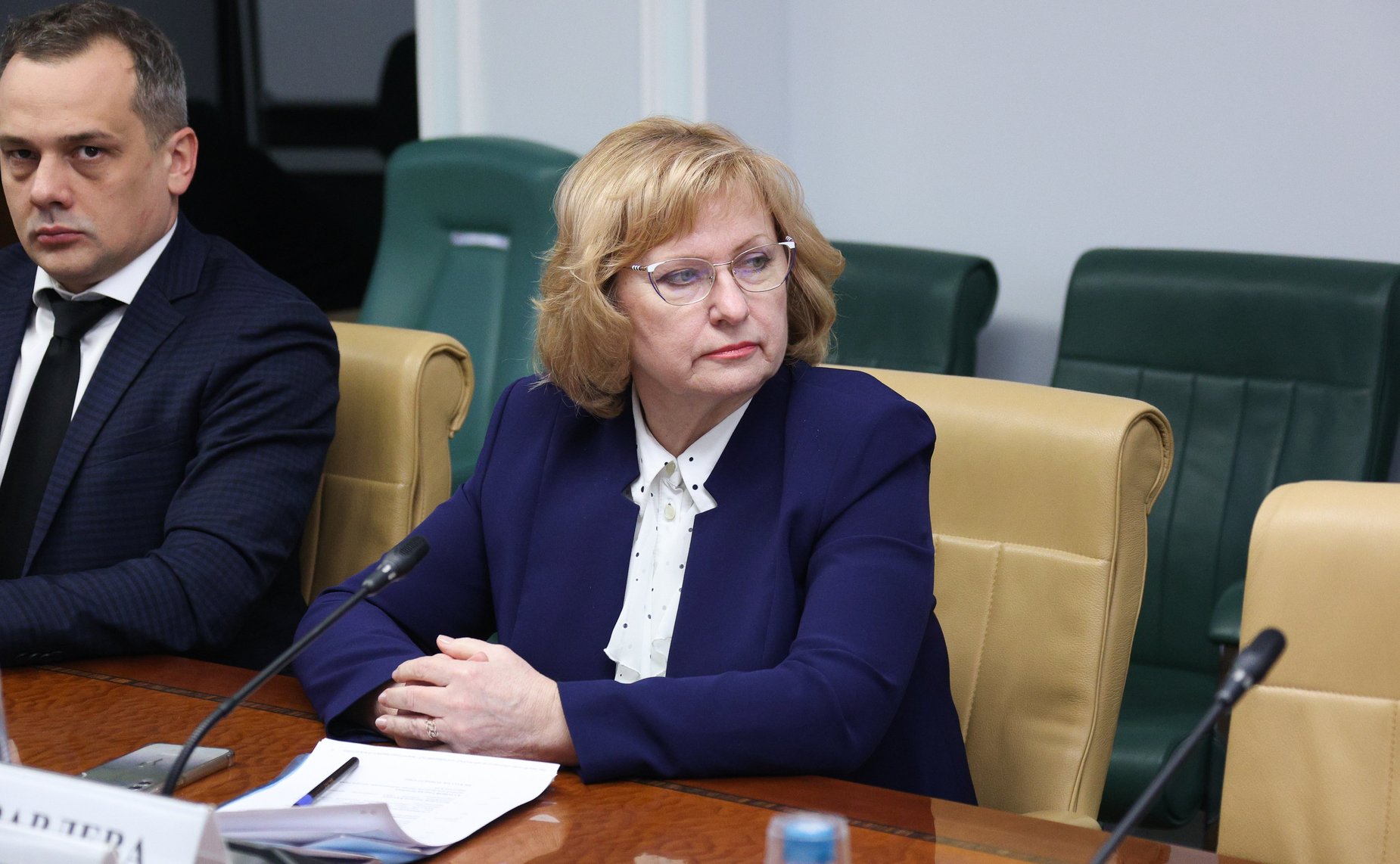 Совещание Комитета Совета Федерации по экономической политике «Повышение энергетической эффективности распределительных электрических сетей»