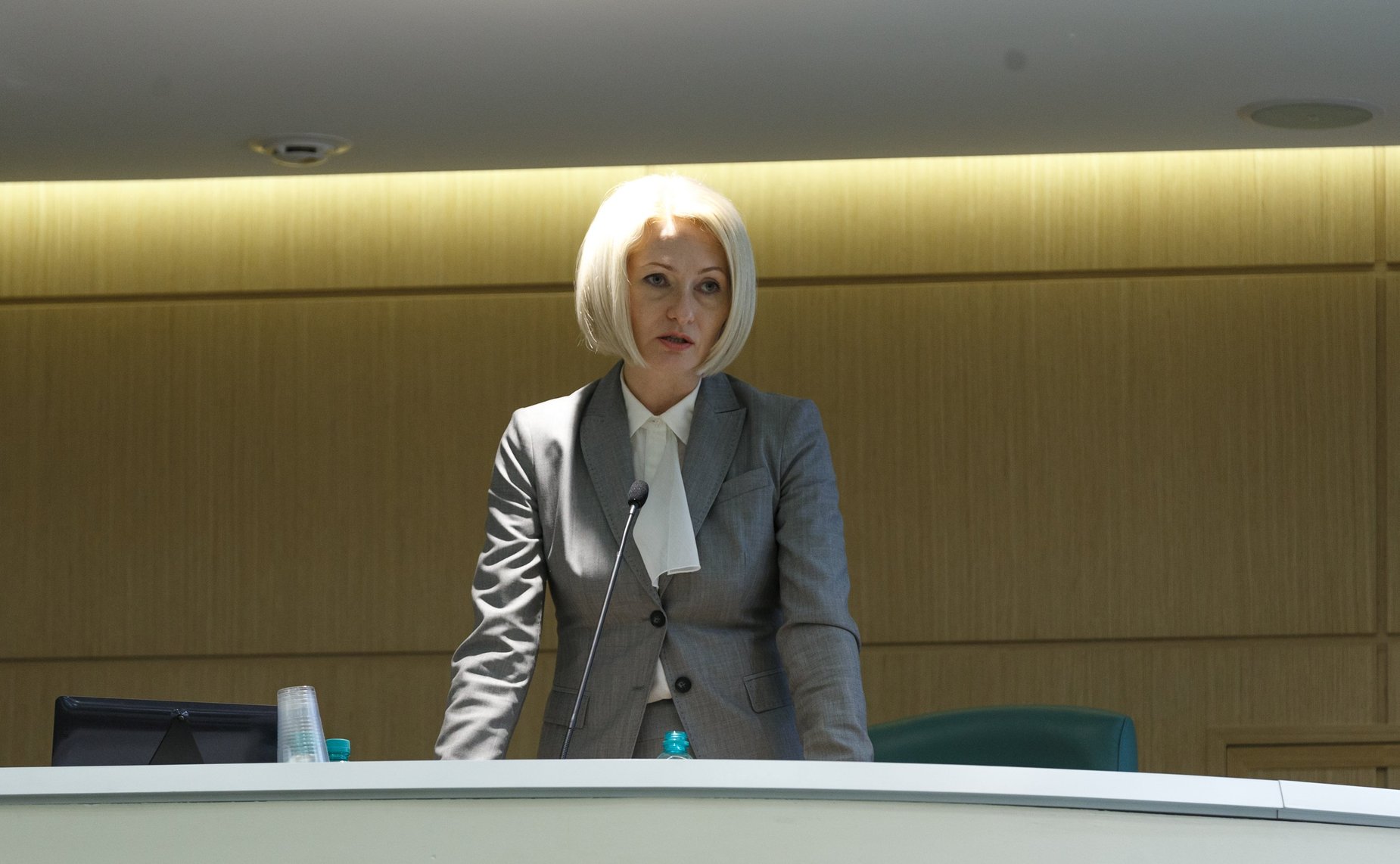 Выступление представителей Правительства РФ