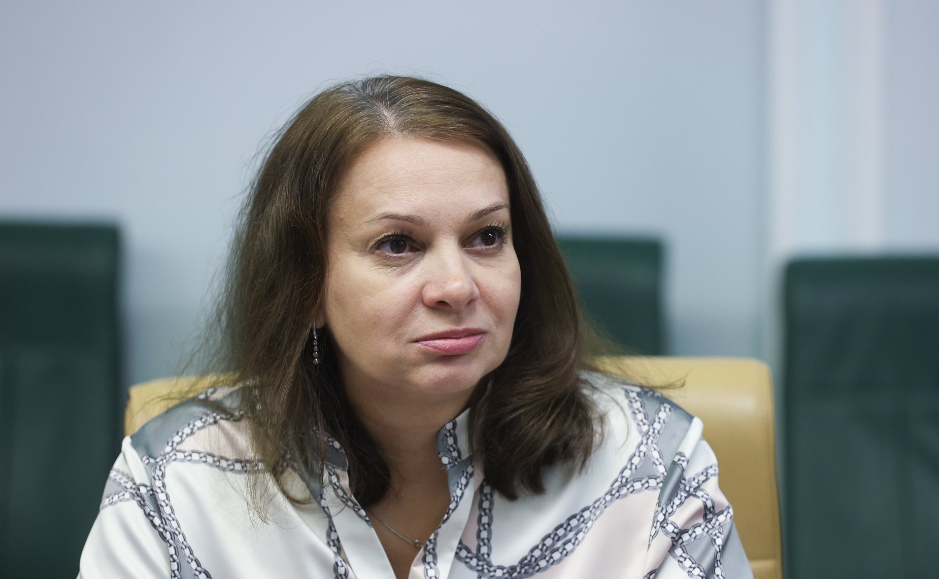 Круглый стол Комитета Совета Федерации по экономической политике «О ходе реализации мероприятий по созданию преференциальных режимов на территориях Донецкой Народной Республики, Луганской Народной Республики, Запорожской области и Херсонской области»