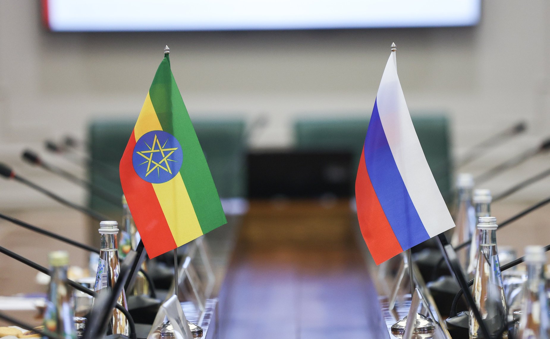 Встреча председателя Комитета СФ по международным делам Григория Карасина с Чрезвычайным и Полномочным Послом Федеральной Демократической Республики Эфиопии