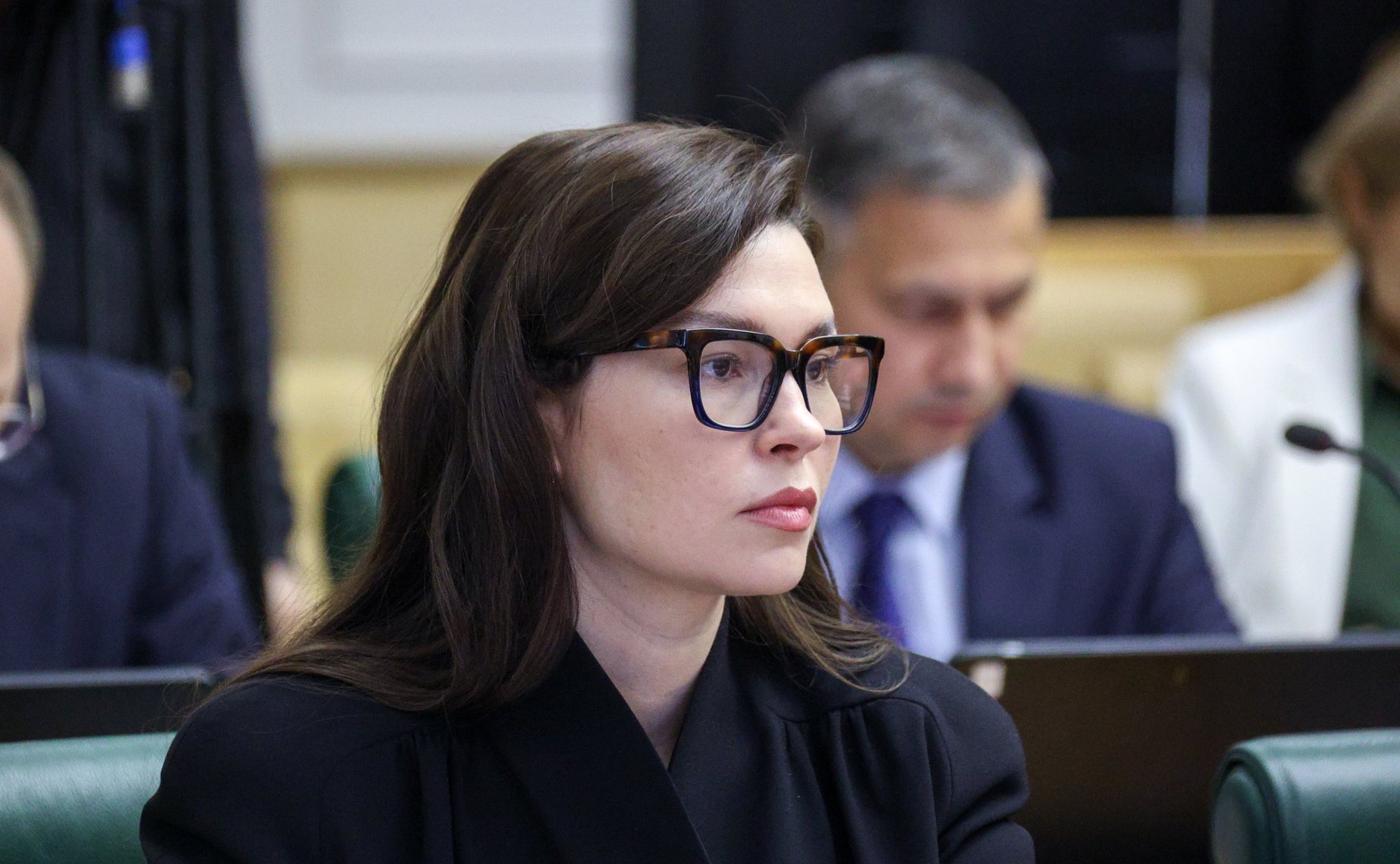 Заседание Совета по вопросам развития Дальнего Востока, Арктики и Антарктики при Совете Федерации на тему «Ведение предпринимательской деятельности в Арктической зоне Российской Федерации»