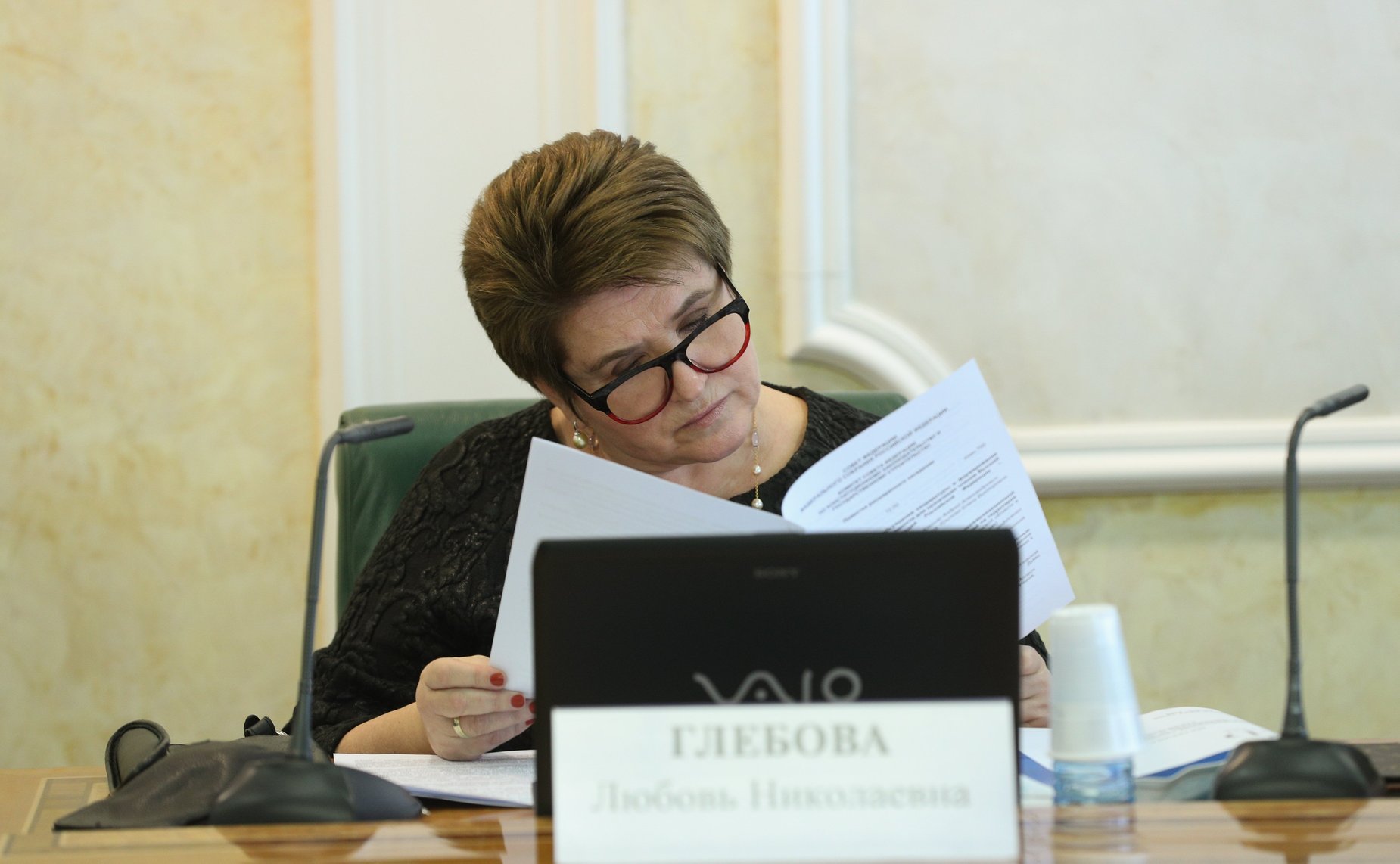 Расширенное заседание Комитета СФ по конституционному законодательству и государственному строительству в рамках Дней Челябинской области в СФ