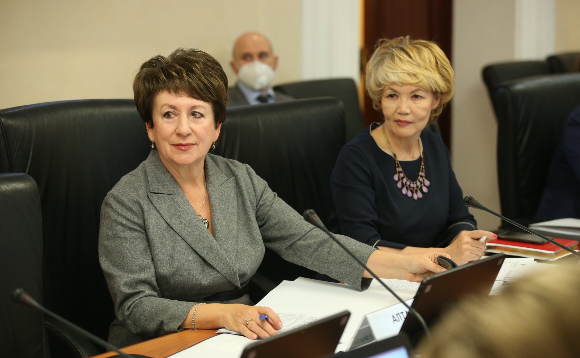 Заседание Комитета СФ по науке, образованию и культуре