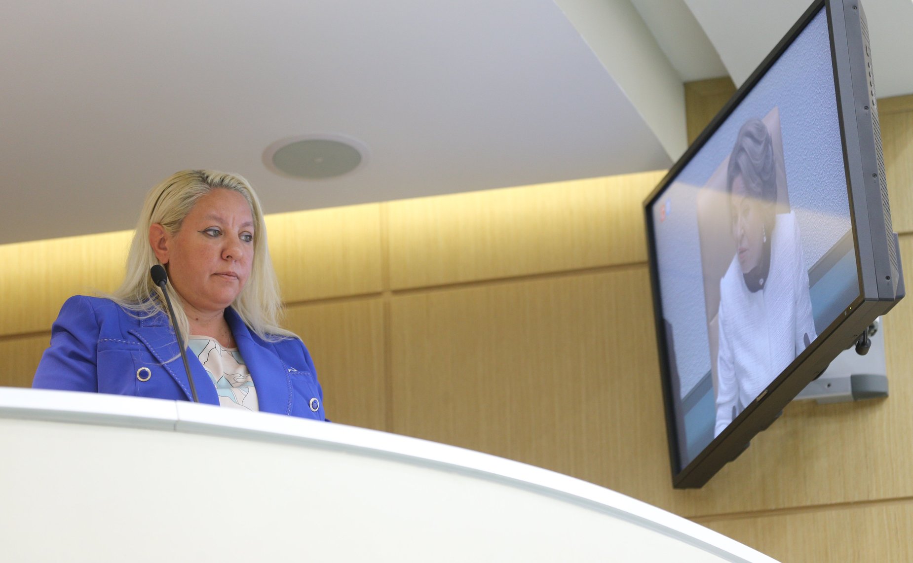 528-е заседание Совета Федерации