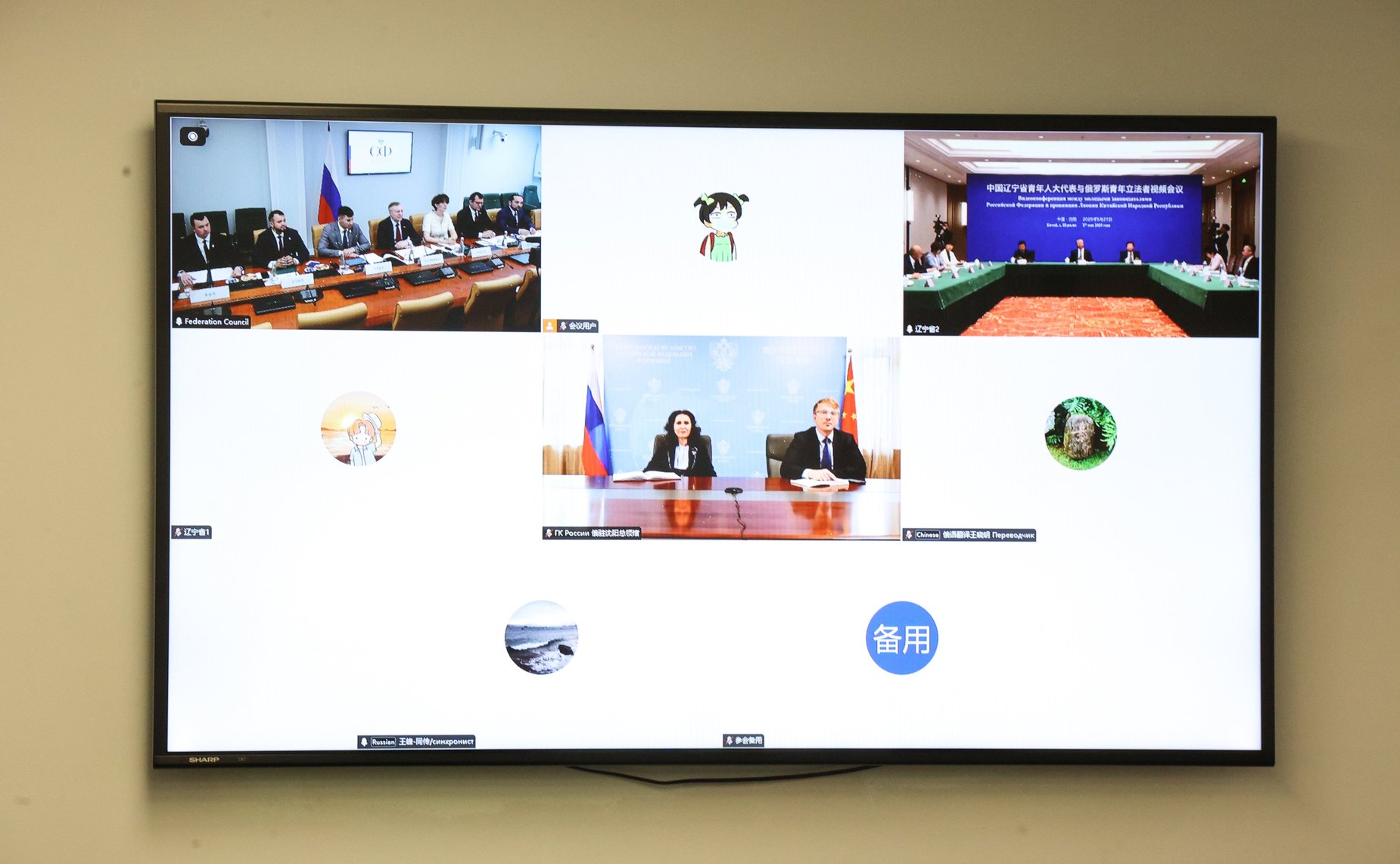 Онлайн-конференция между членами палаты молодых законодателей при СФ и молодыми членами СНП провинции Ляонин КНР