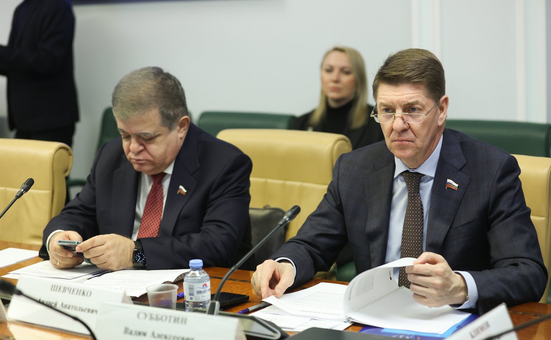 Заседание Временной комиссии СФ по защите государственного суверенитета и предотвращению вмешательства во внутренние дела РФ