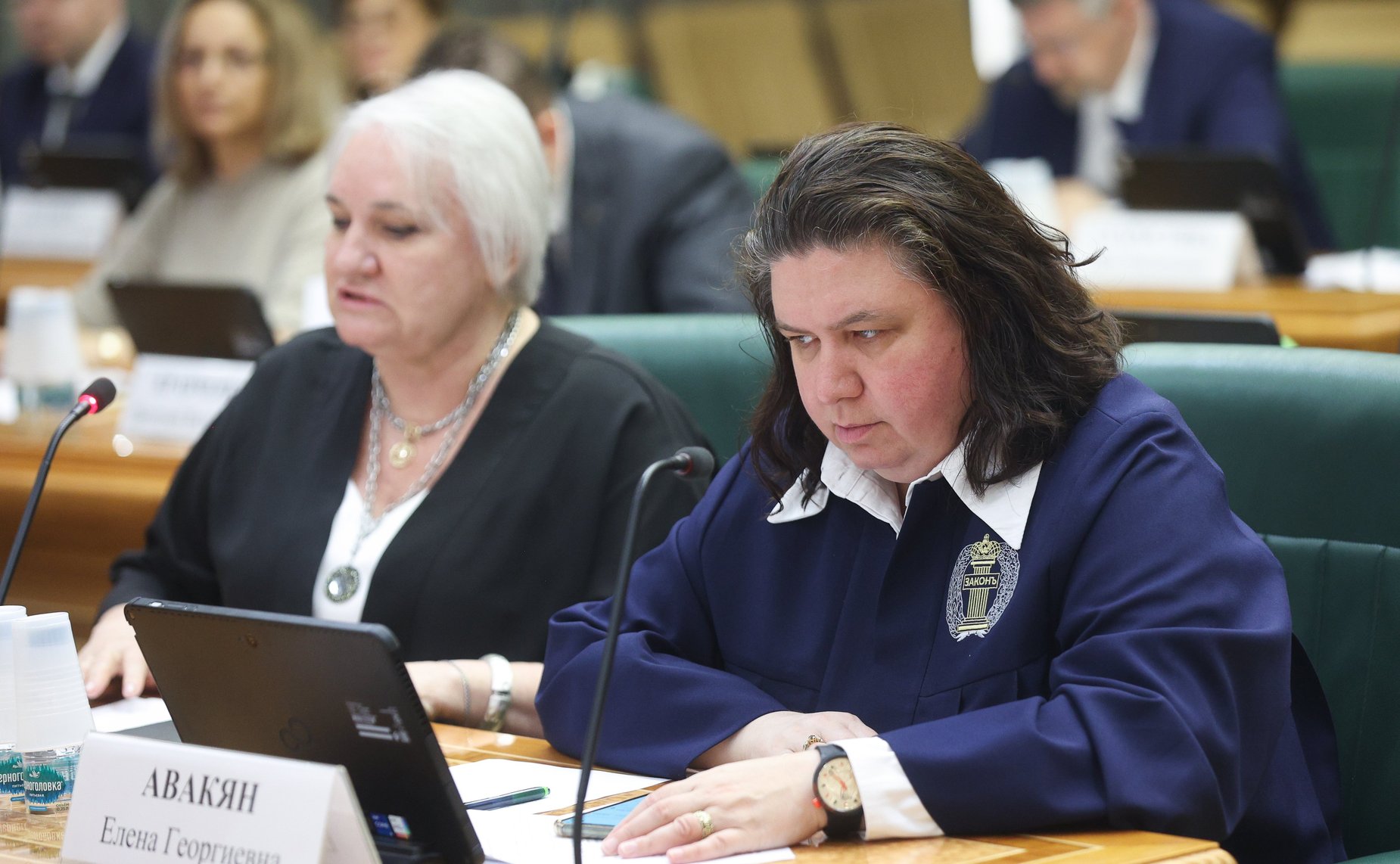 Заседание экспертно-консультативного совета при Комитете Совета Федерации по конституционному законодательству и государственному строительству